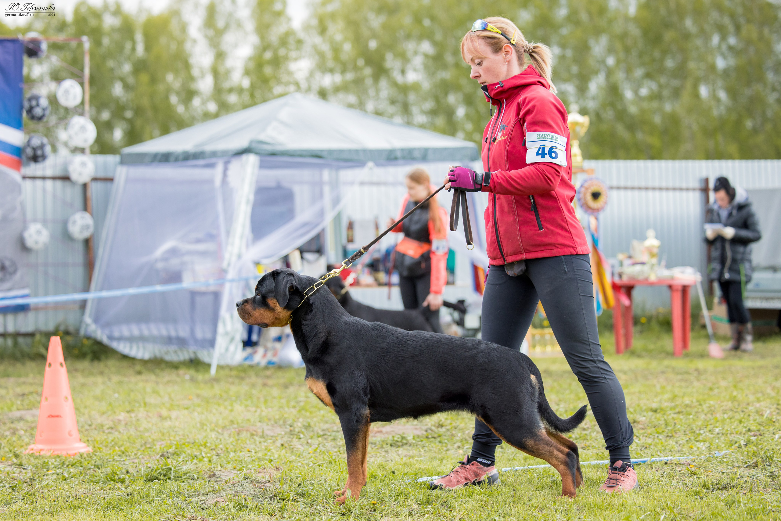 Нижний Новгород 11-12.05.2024 моно ротвейлеров. Фотограф-анималист Юлия Германика