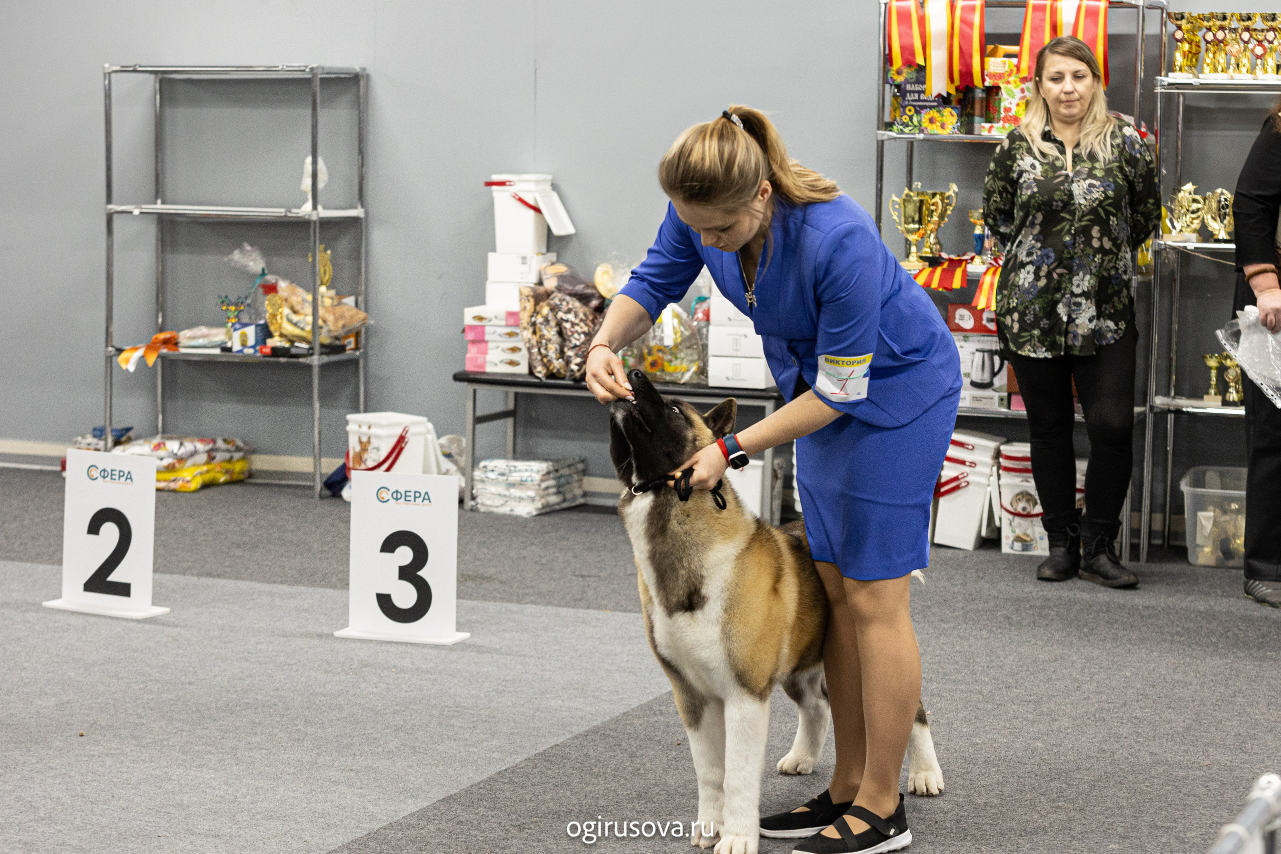 РОО КЛЖ «Олимп"+"Империя"+"Виктория».Выставка собак. Фотограф Ольга Гирусова «Пантерочка» Москва
