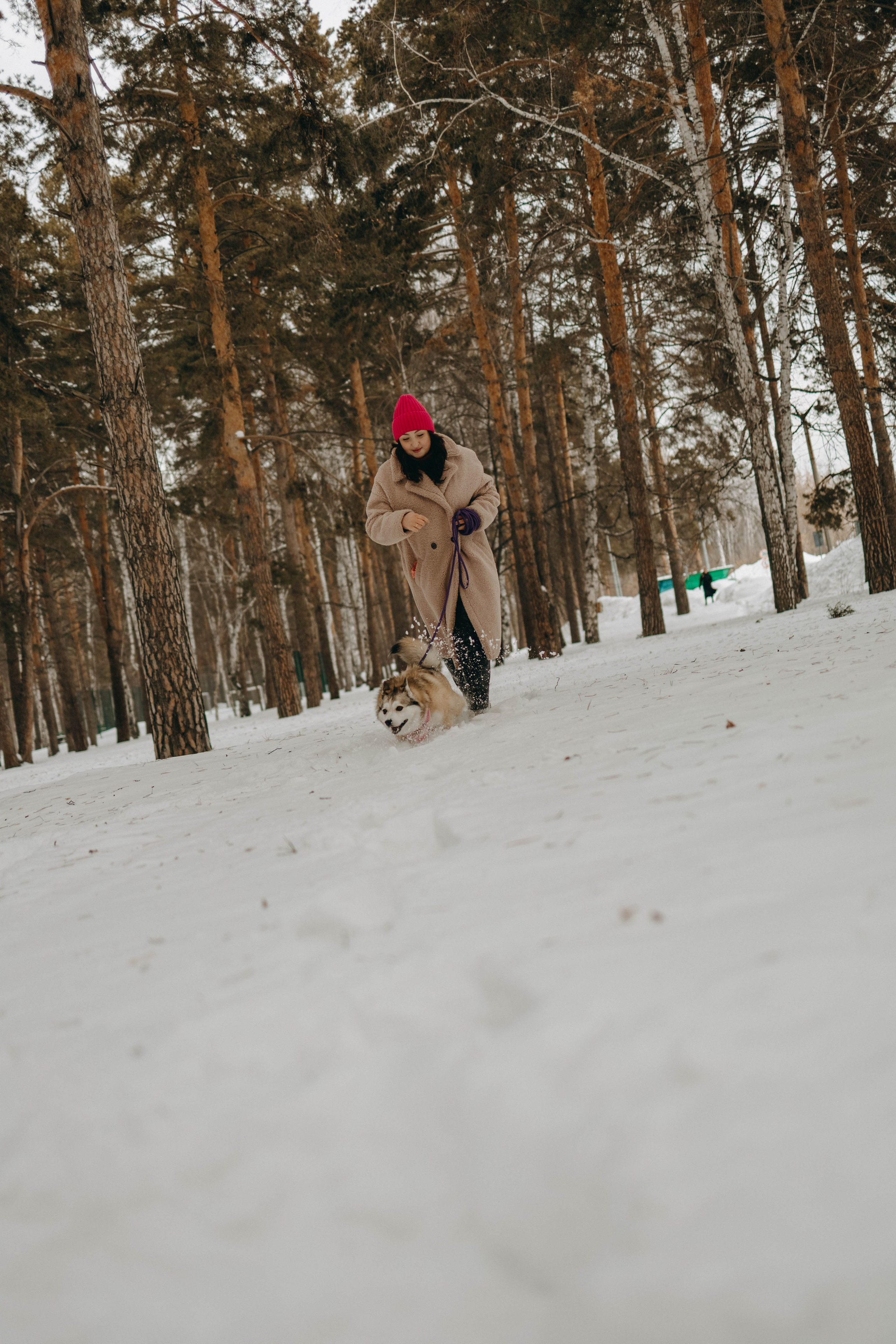 Варвара и Шелби. Фотограф-анималист в Екатеринбурге | Кристина