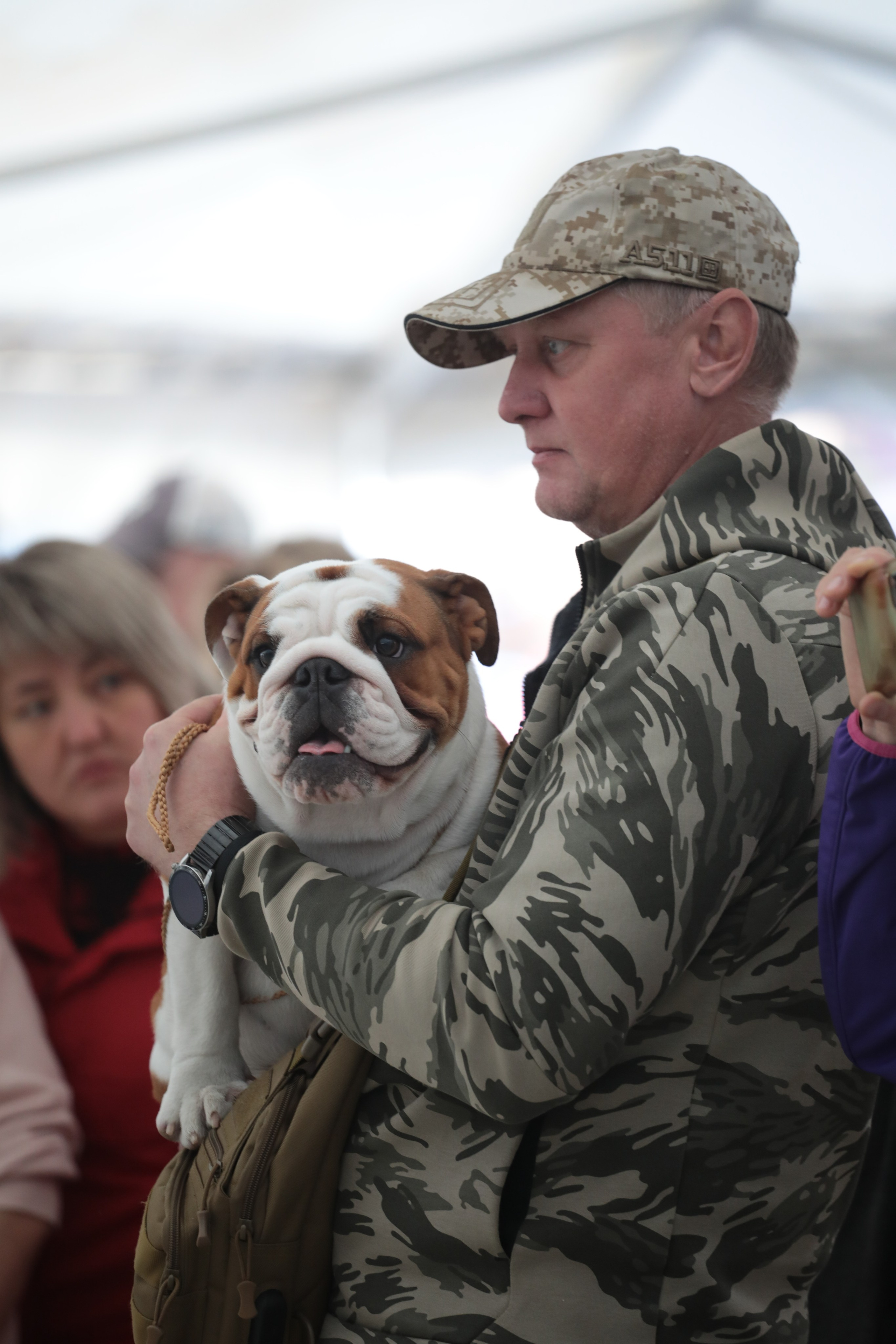 Выставка собак РКФ. Фотограф Екатерина Козловская