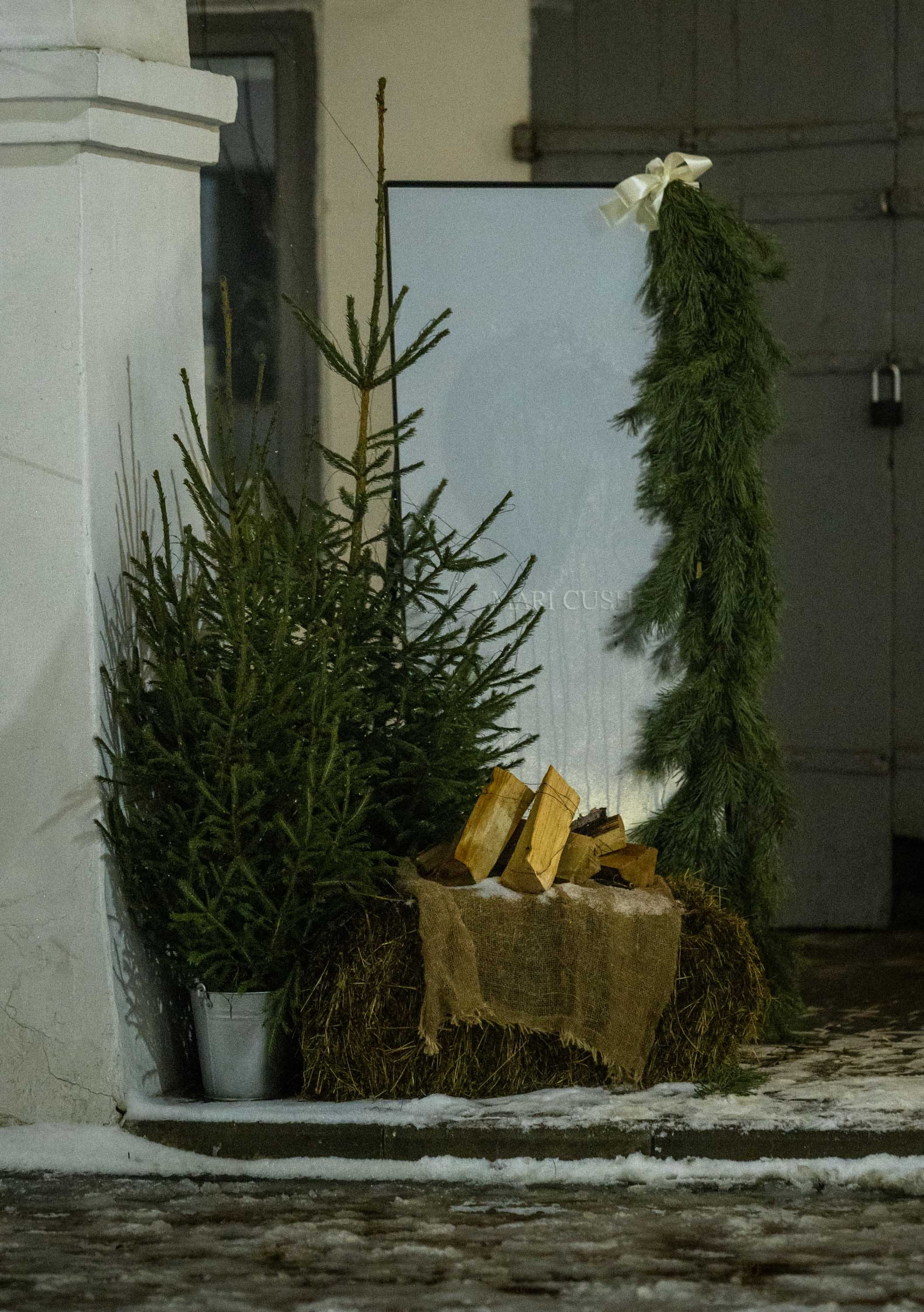 Новогодняя фотосессия в Костроме. Портретный фотограф в Костроме Наталия Клевинскас