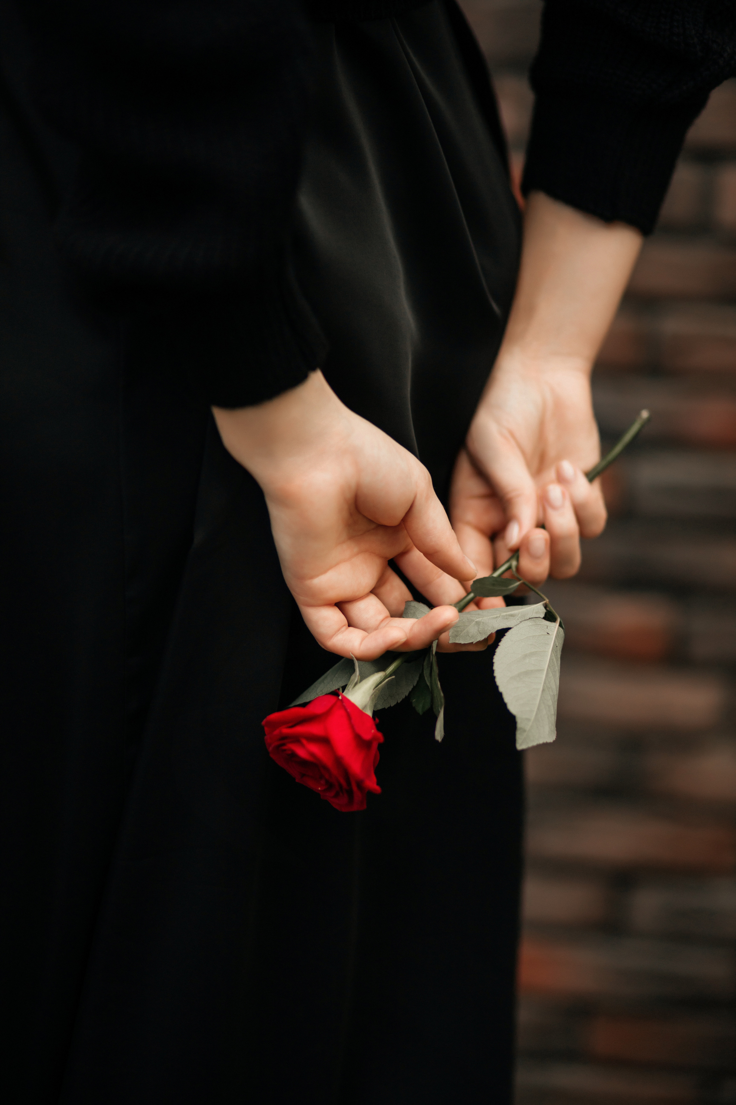 Алина. Фотограф Краснодар