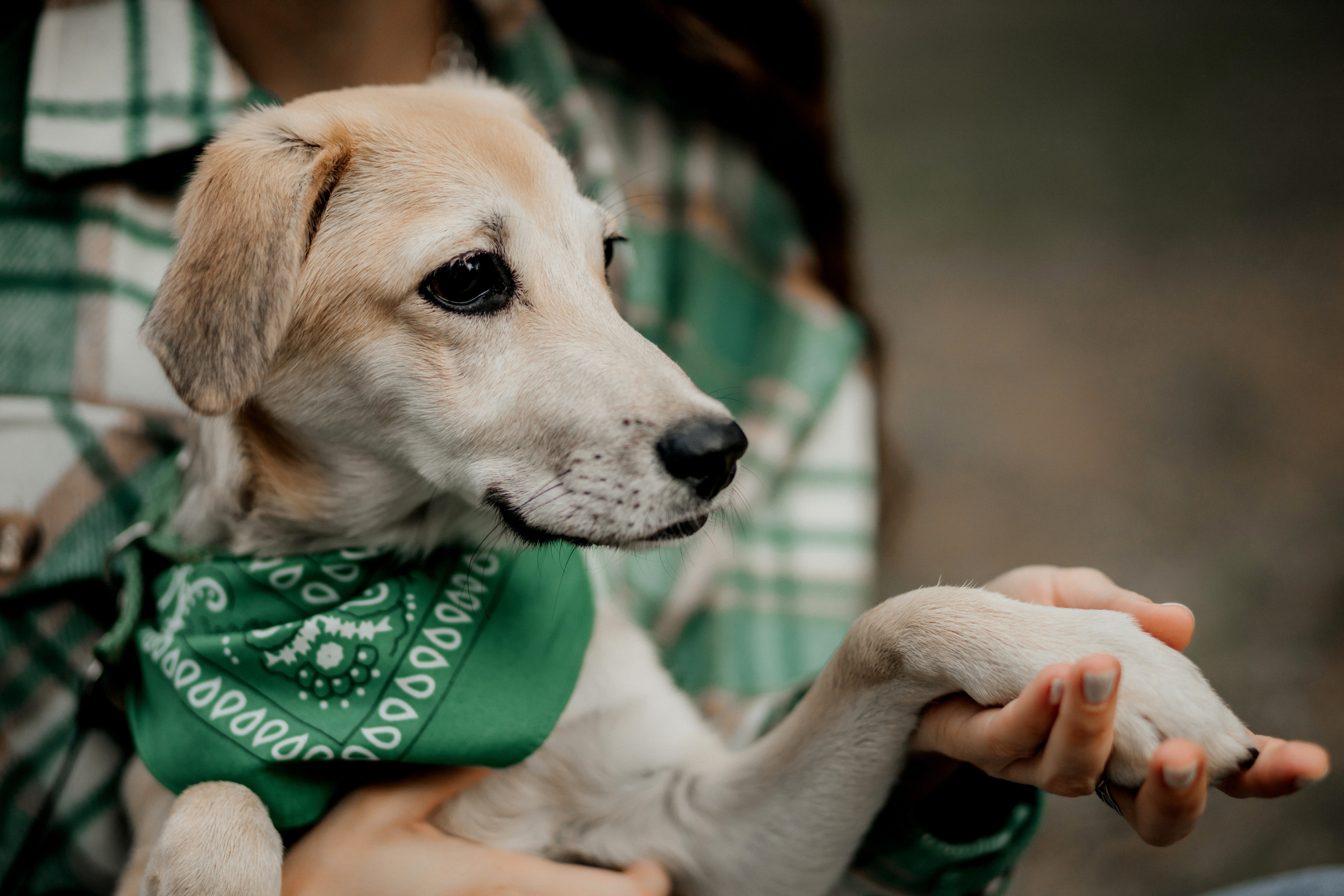 Ксения и Ева. Фотограф Краснодар