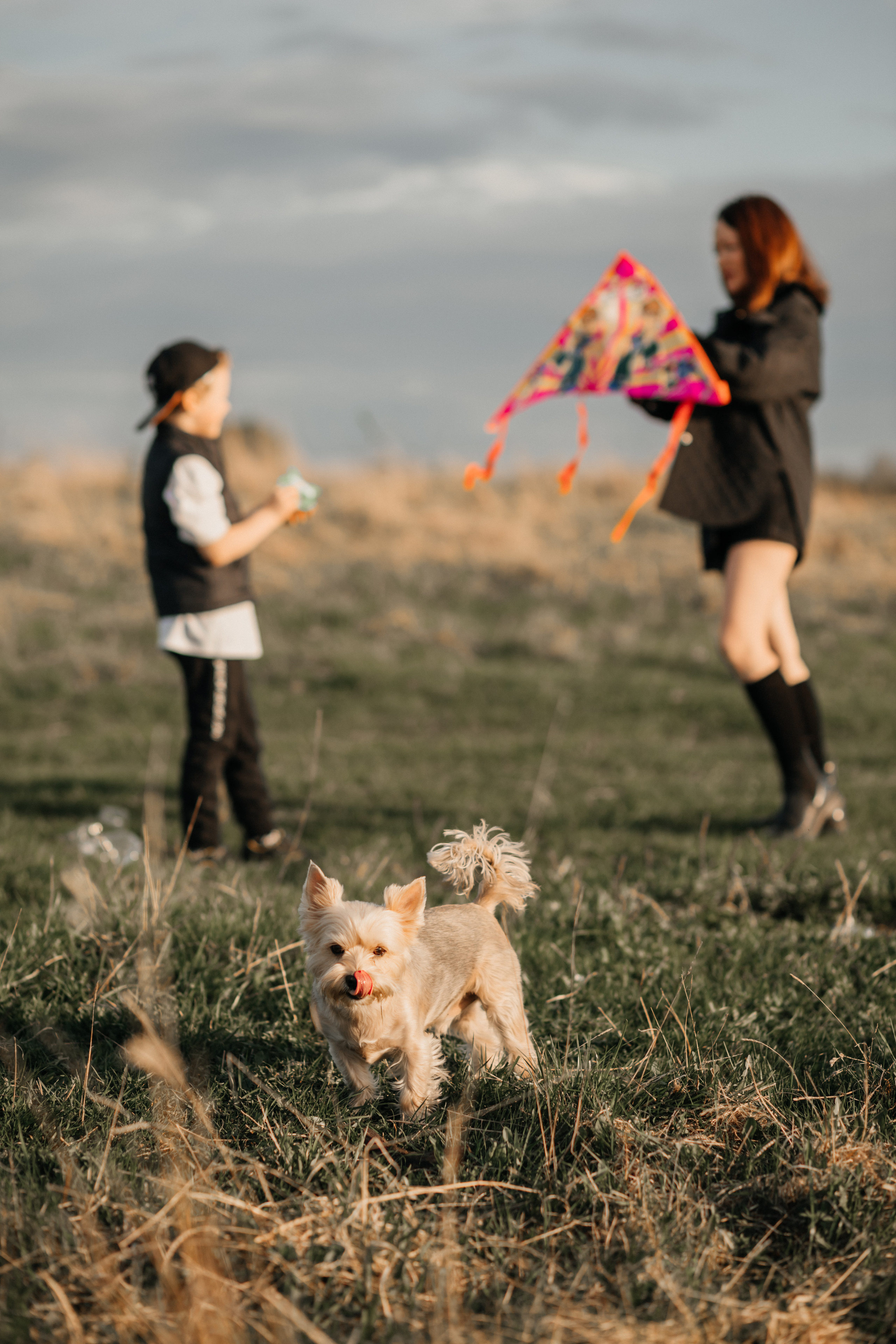 Аня и 3 сына. Фотограф Краснодар