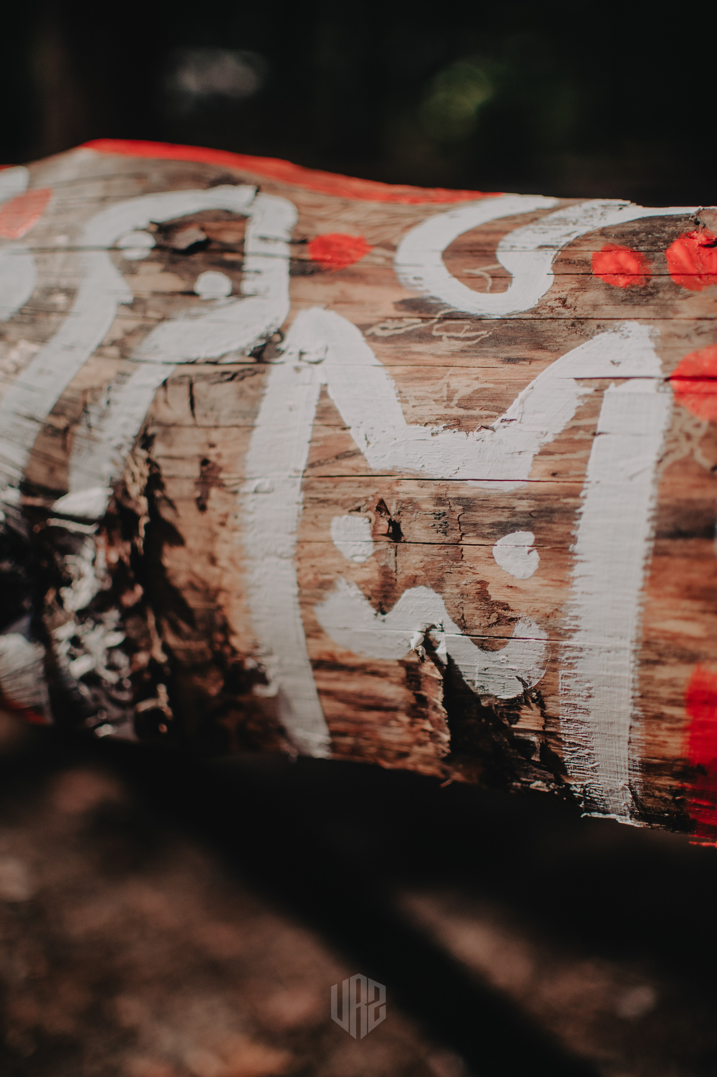 METADREAMS 2023. Контент фотограф Илья Урс