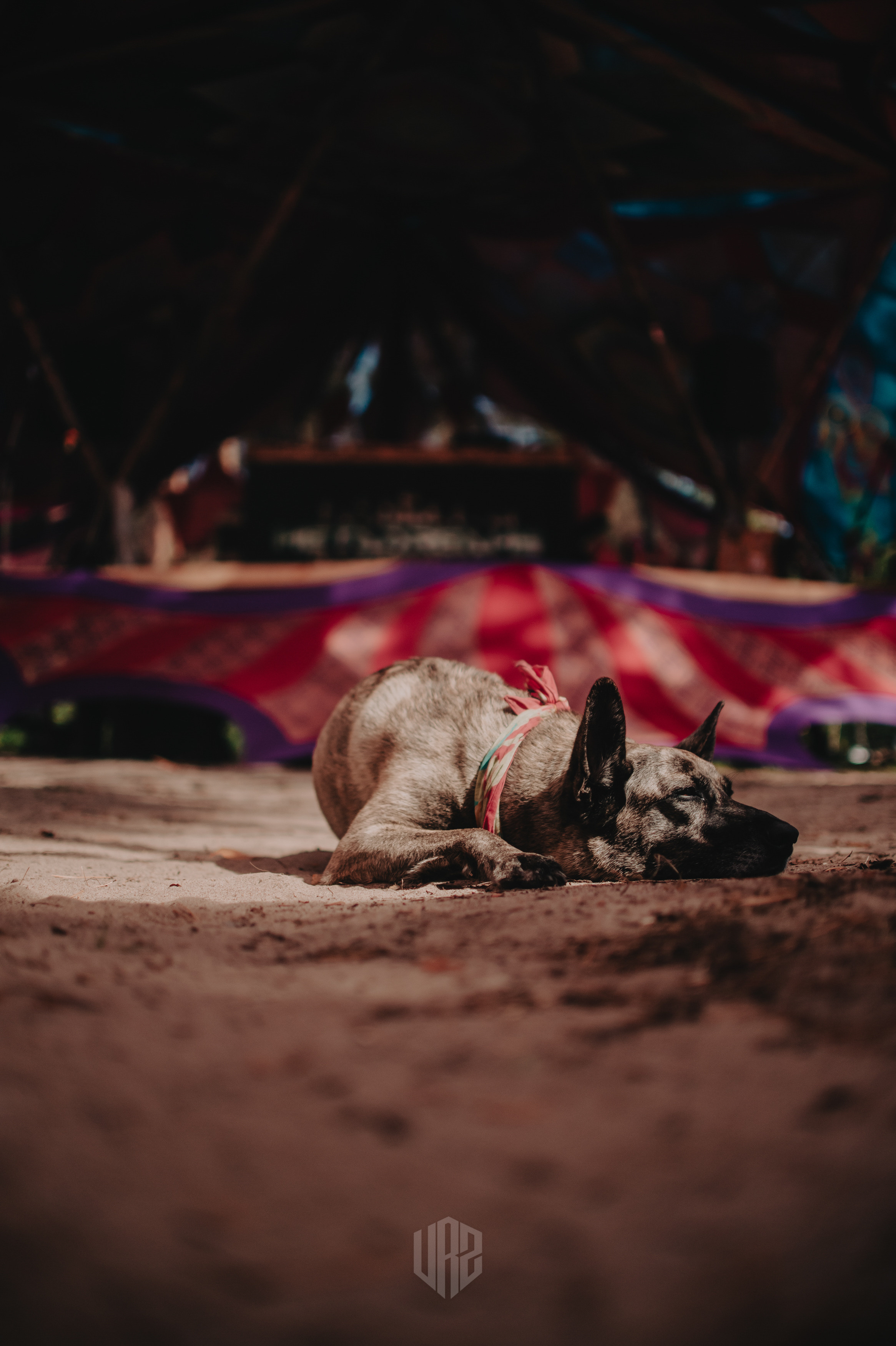 METADREAMS 2023. Контент фотограф Илья Урс