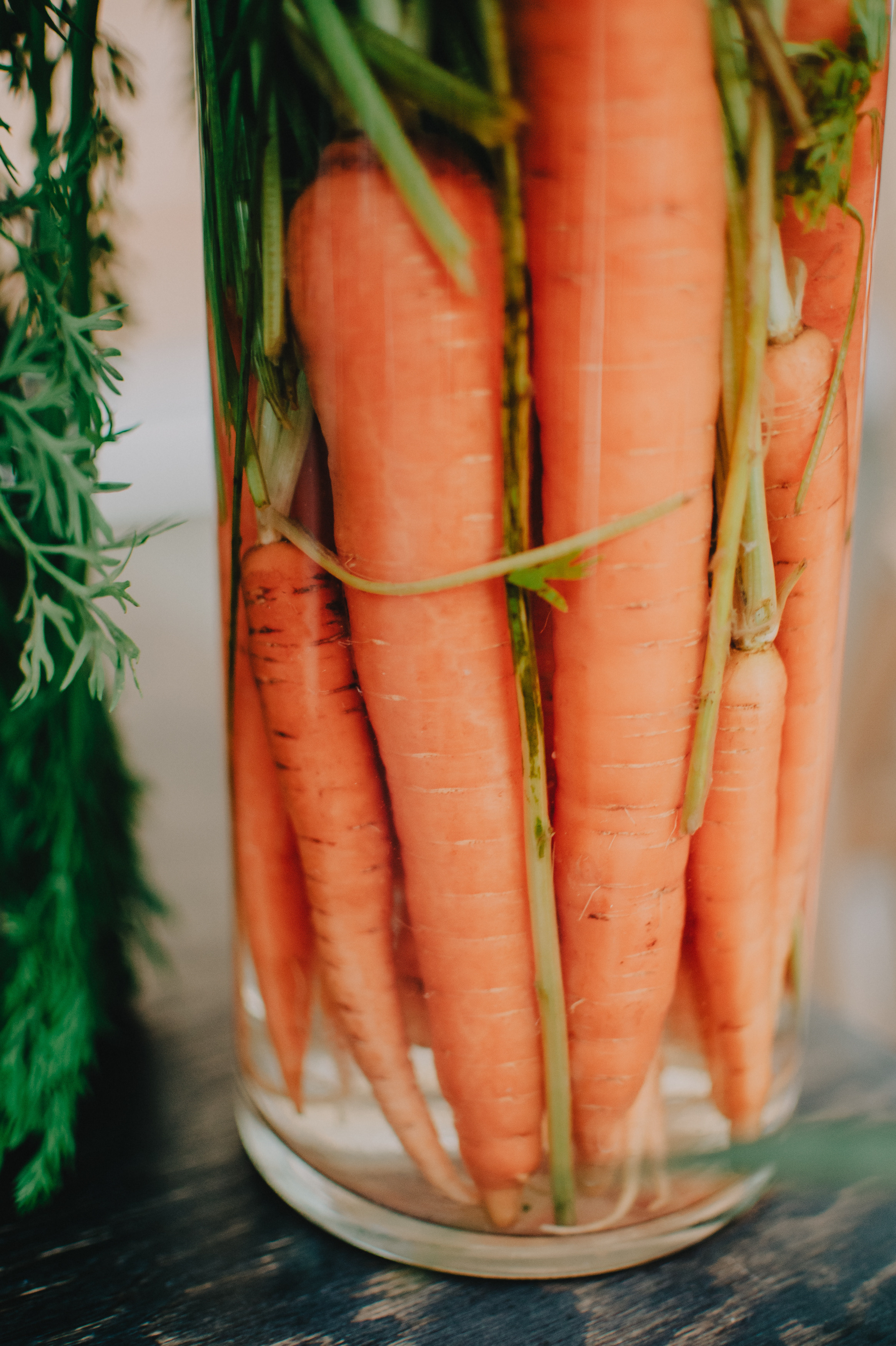 ~ ПРИНТЕР ФЕСТ 🪅. Контент фотограф Илья Урс