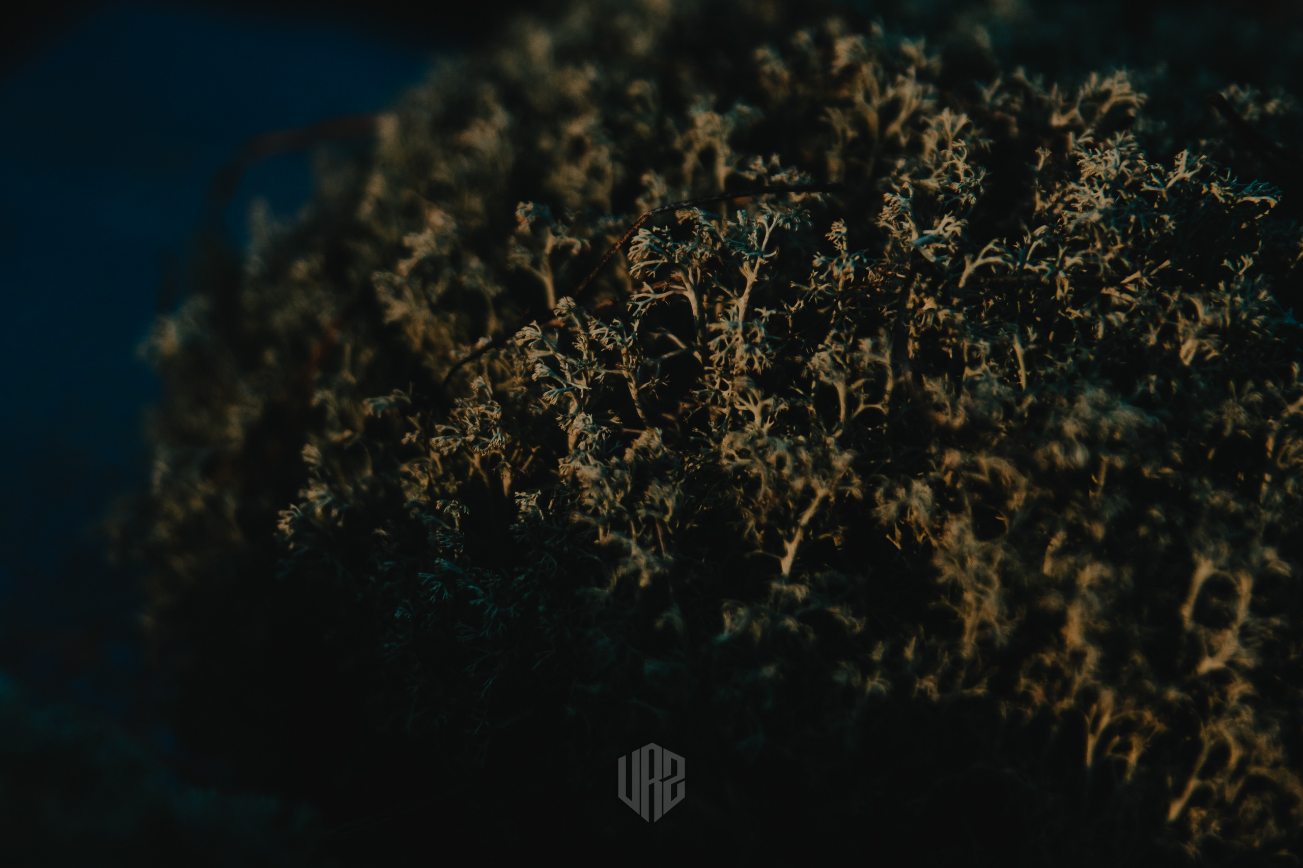 METADREAMS 2023. Контент фотограф Илья Урс