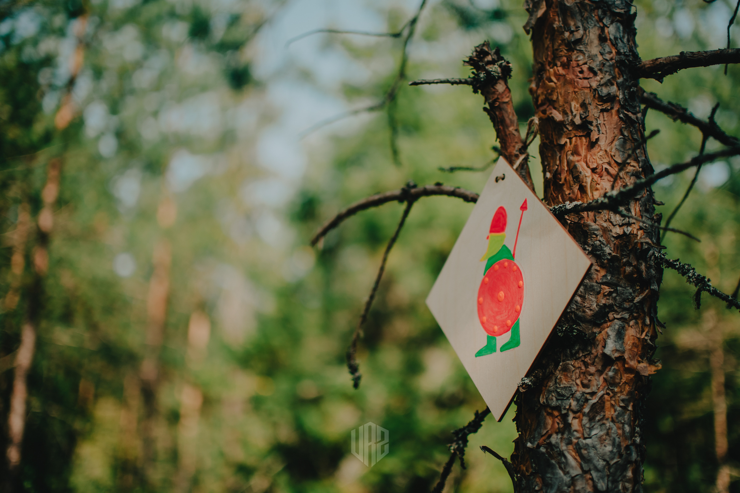 METADREAMS 2023. Контент фотограф Илья Урс