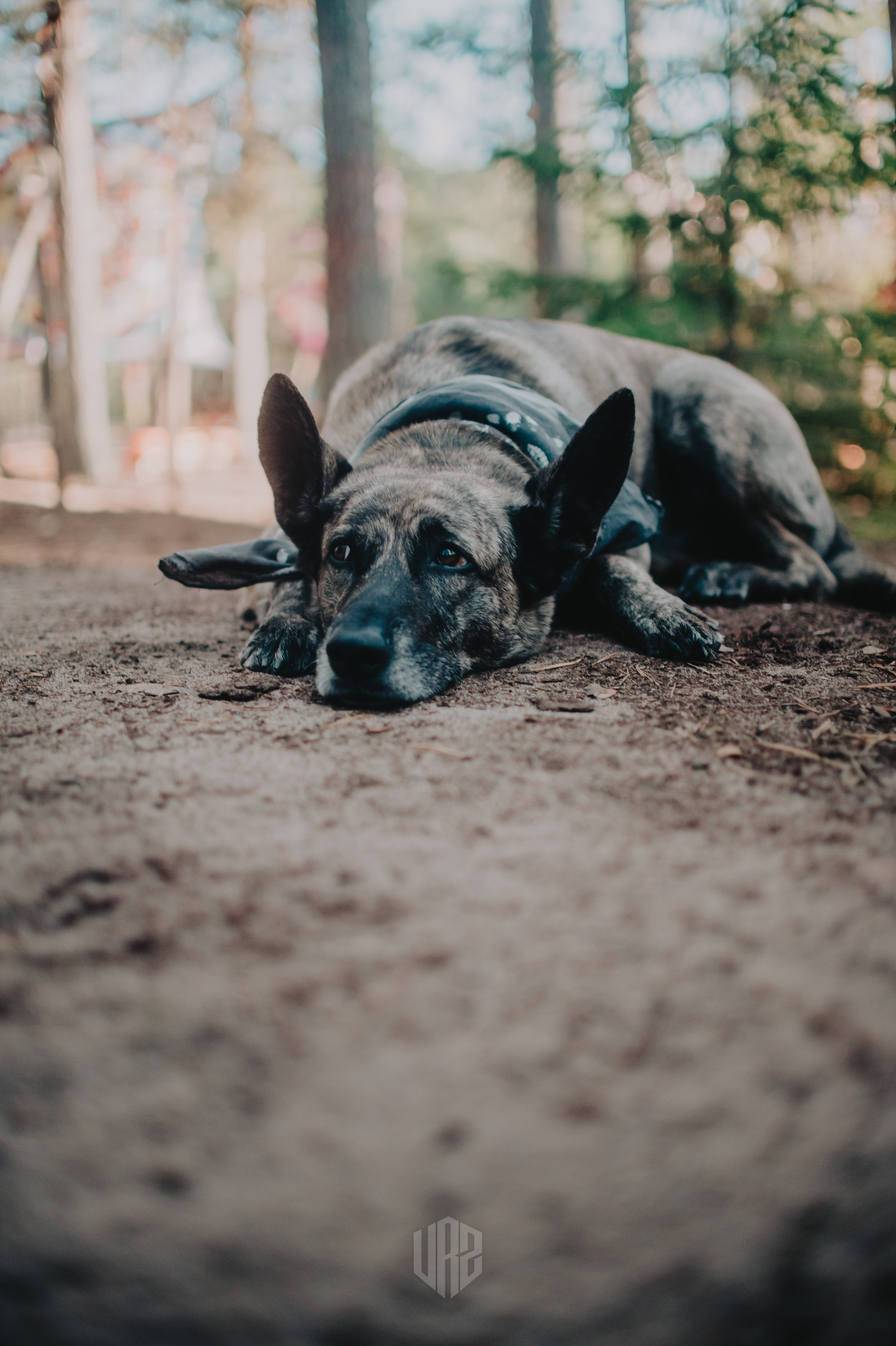 METADREAMS 2023. Контент фотограф Илья Урс