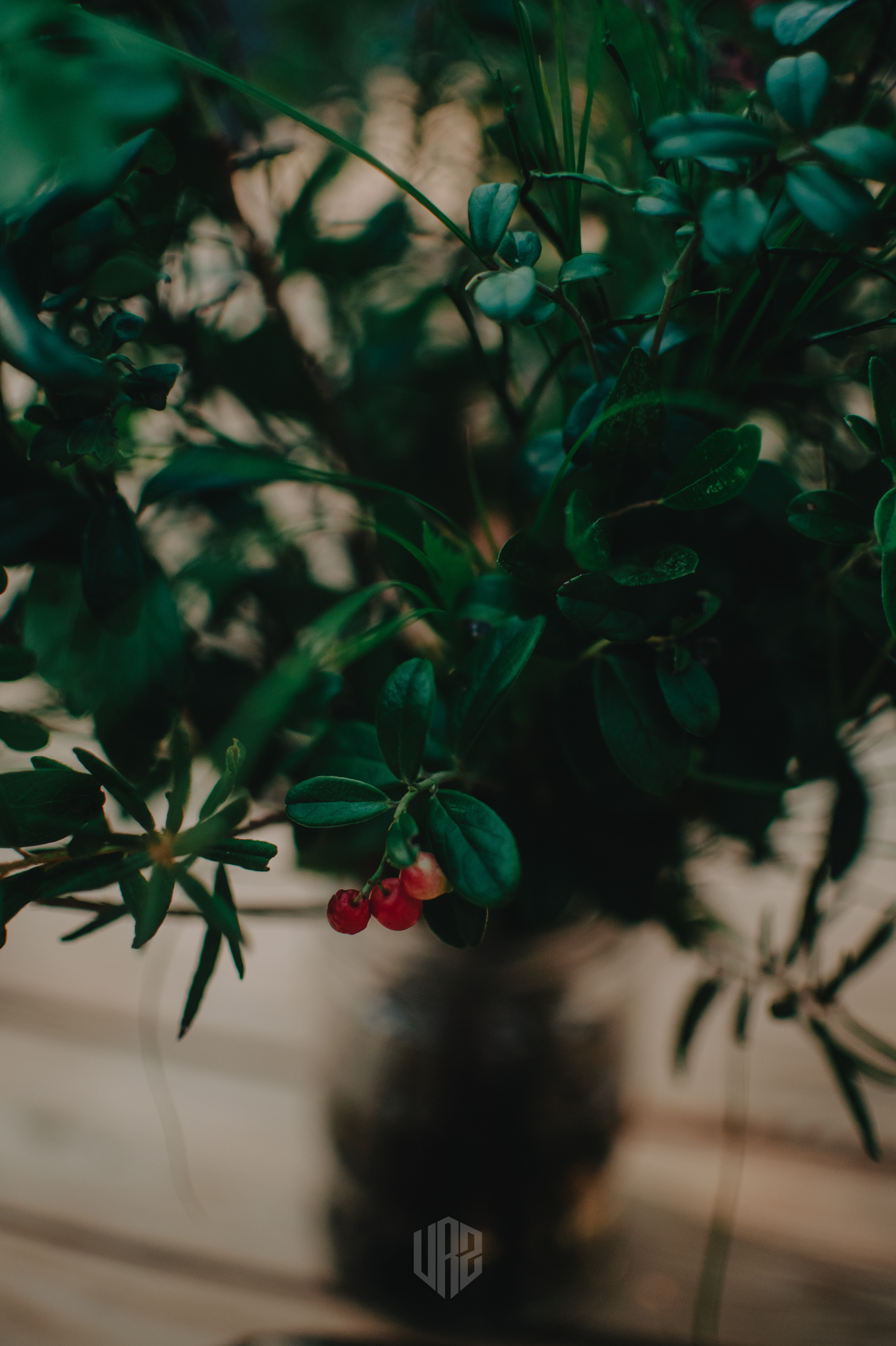 METADREAMS 2023. Контент фотограф Илья Урс