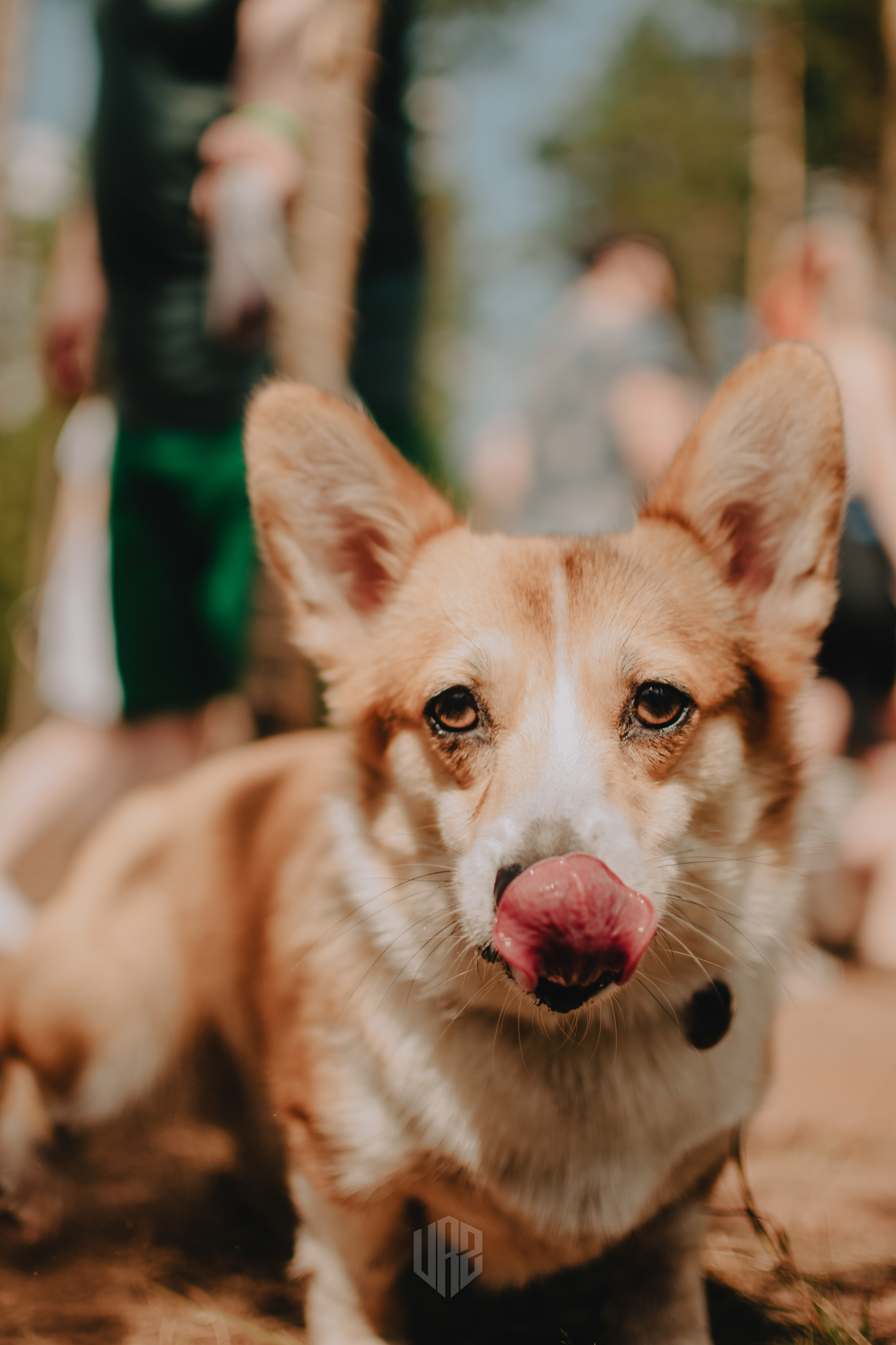 METADREAMS 2023. Контент фотограф Илья Урс