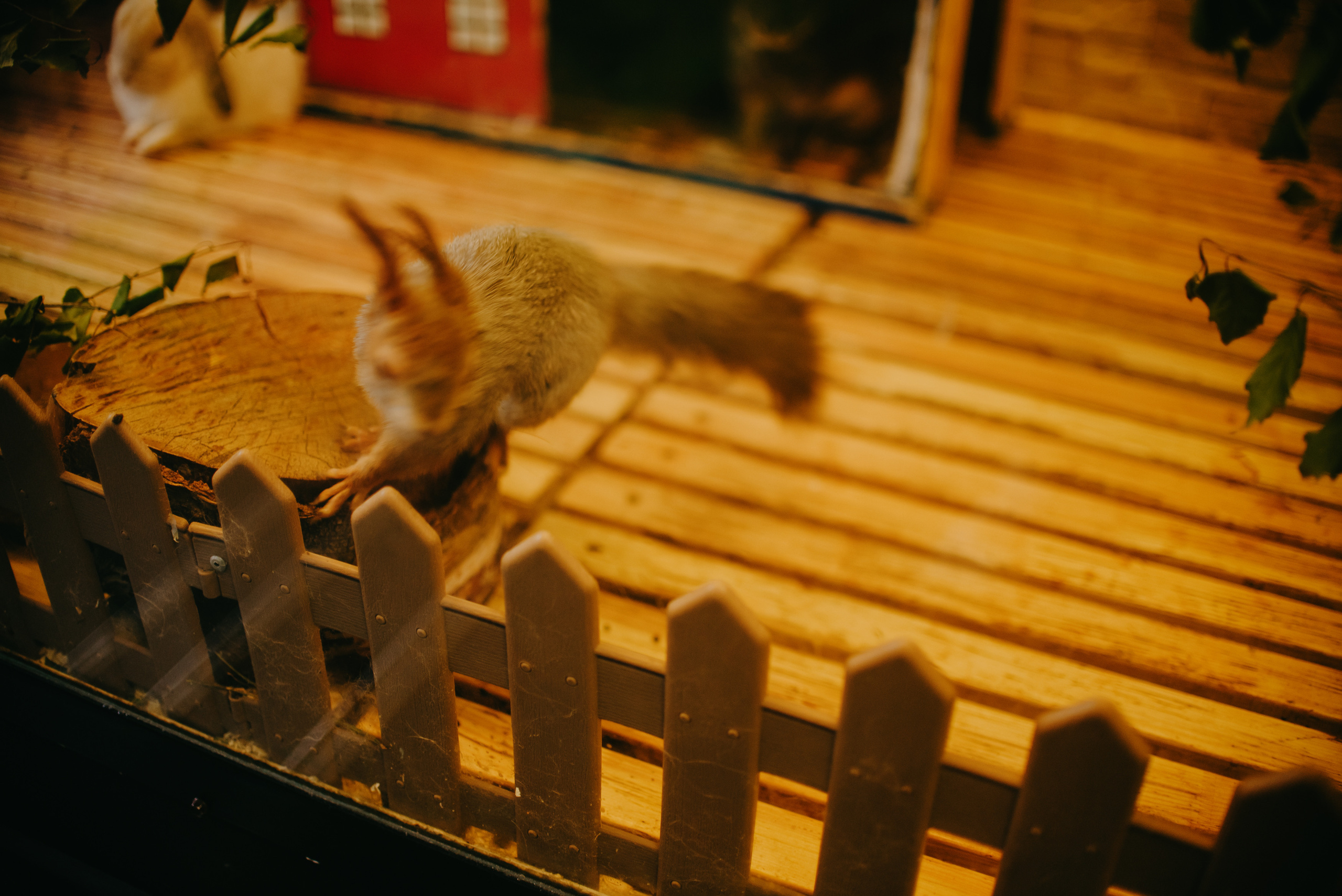 Backstage for BAZA| Кинотеатр «Смена». Контент фотограф Илья Урс