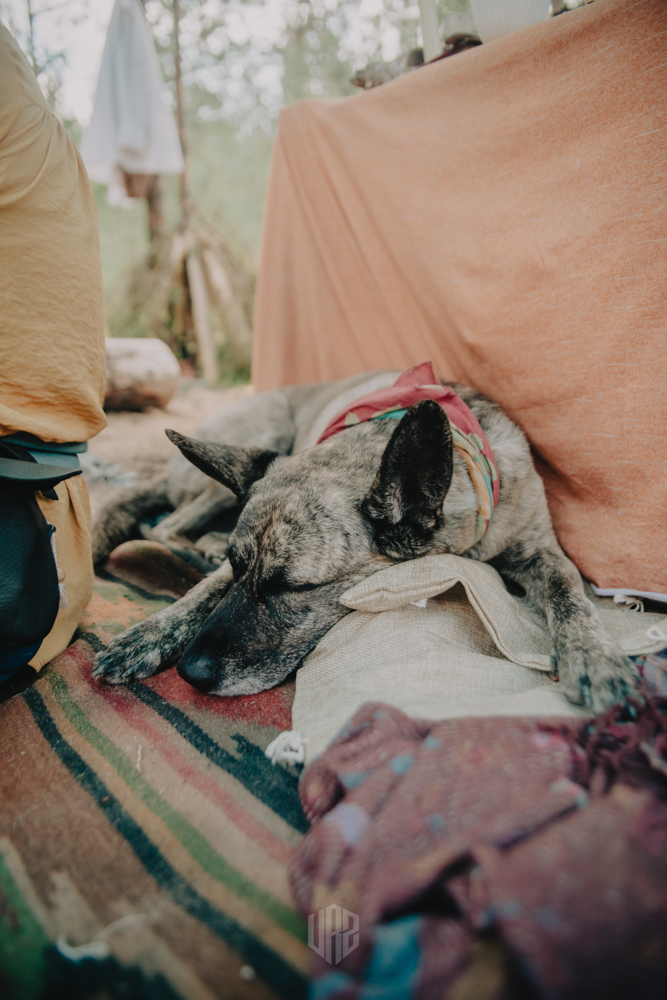 METADREAMS 2023. Контент фотограф Илья Урс