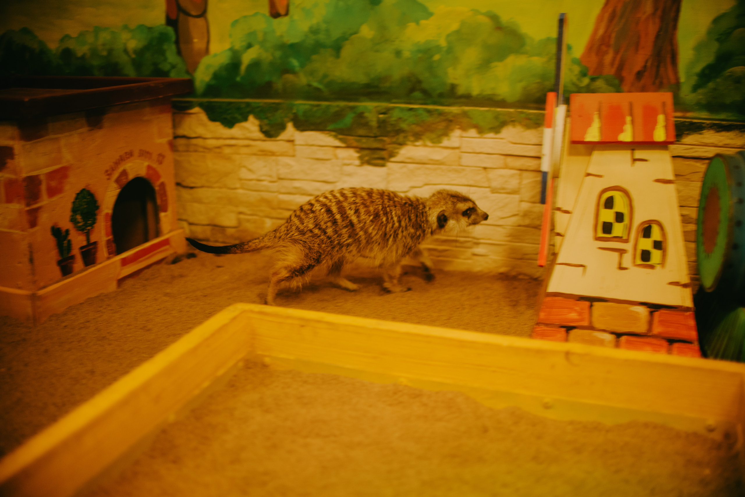 Backstage for BAZA| Кинотеатр «Смена». Контент фотограф Илья Урс