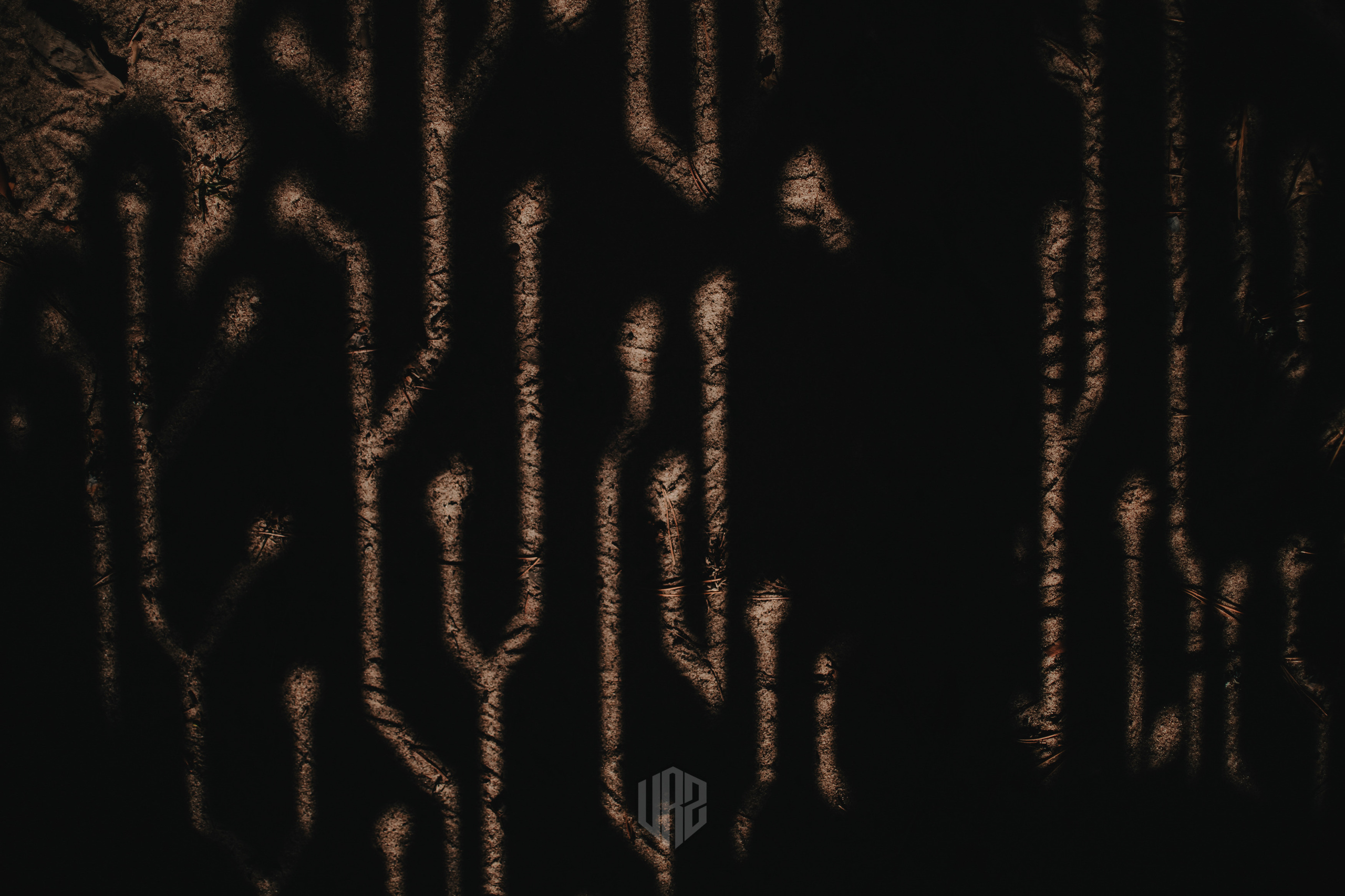 METADREAMS 2023. Контент фотограф Илья Урс