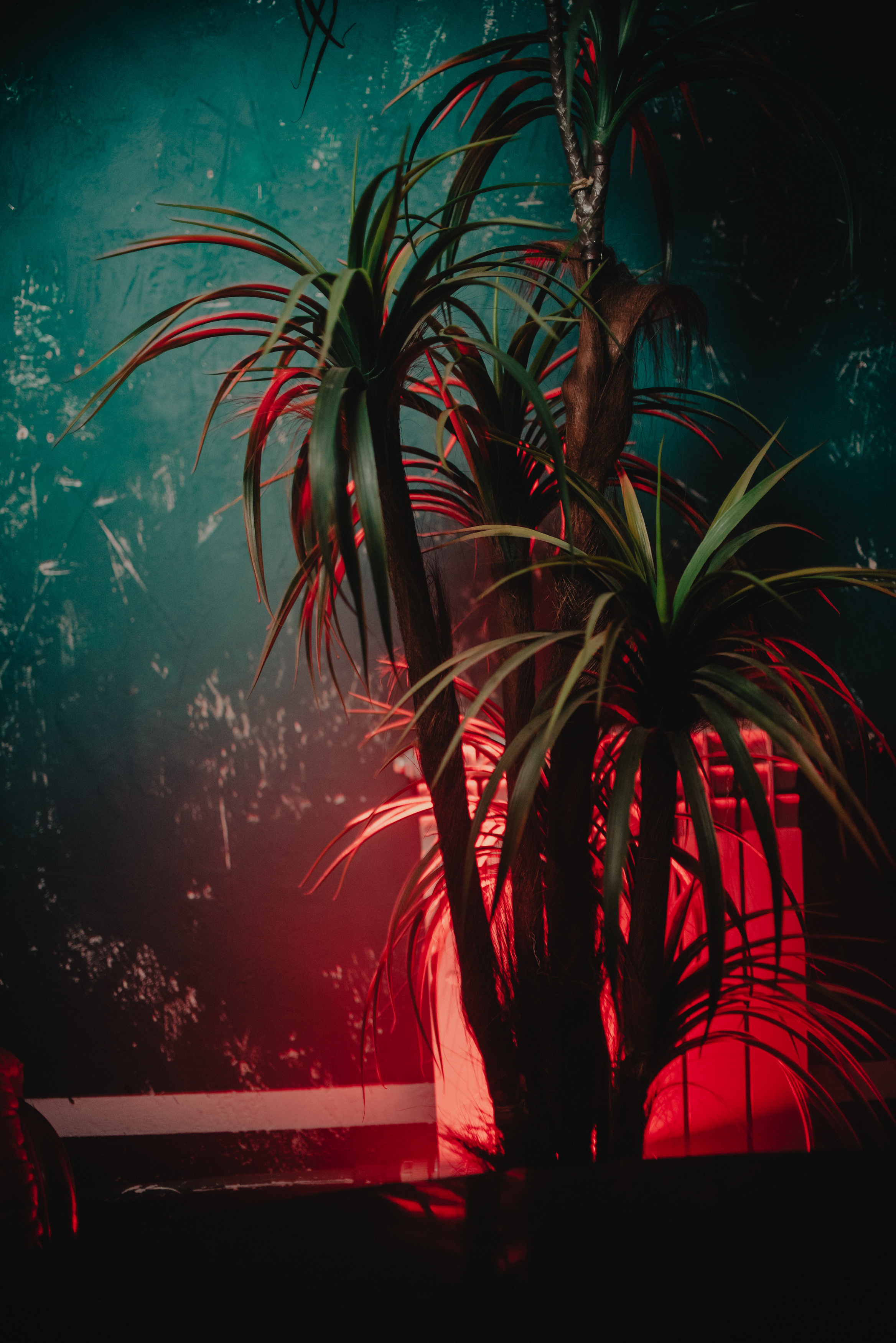 Happy birthday?. Контент фотограф Илья Урс