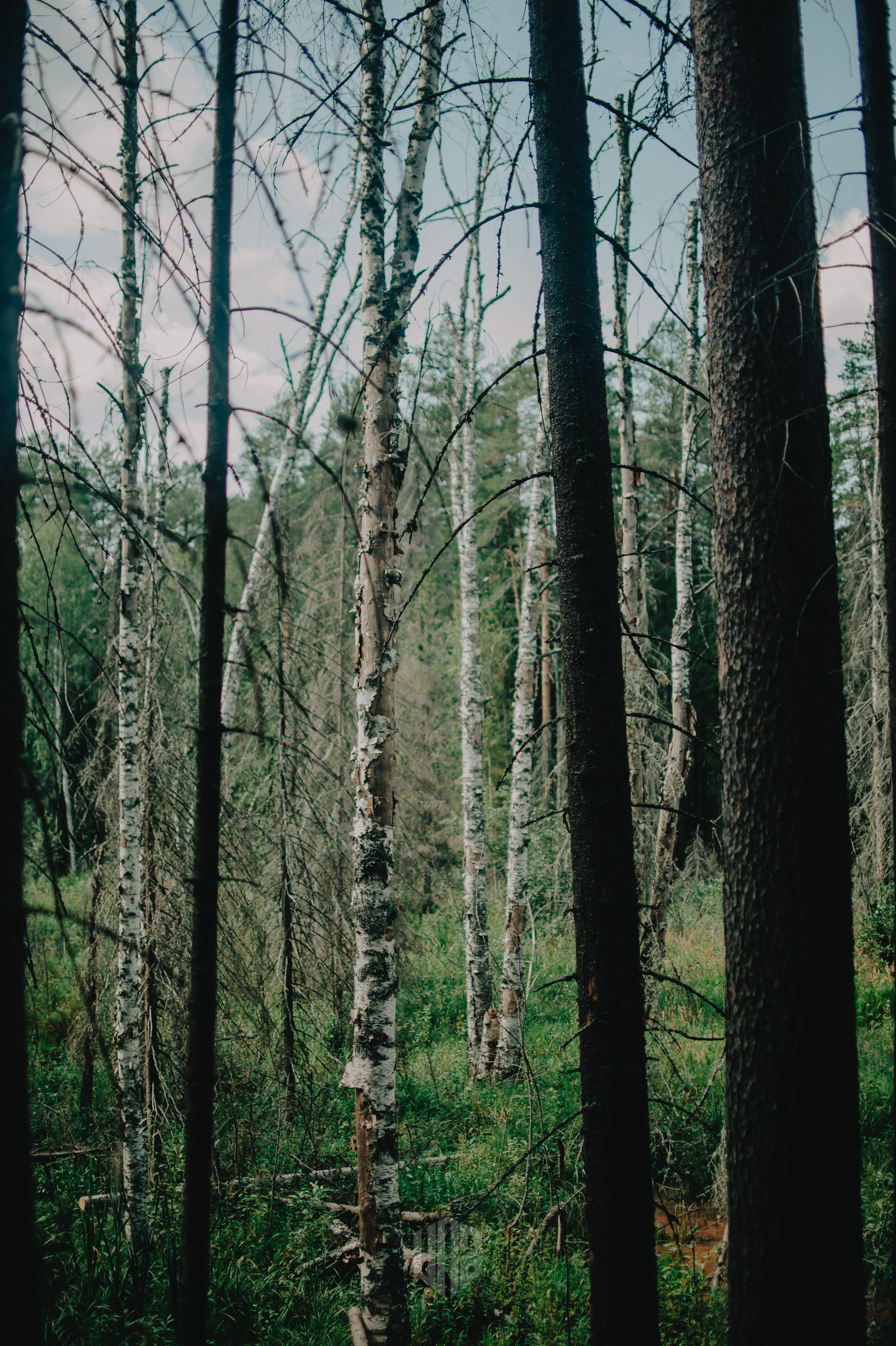 METADREAMS 2023. Контент фотограф Илья Урс