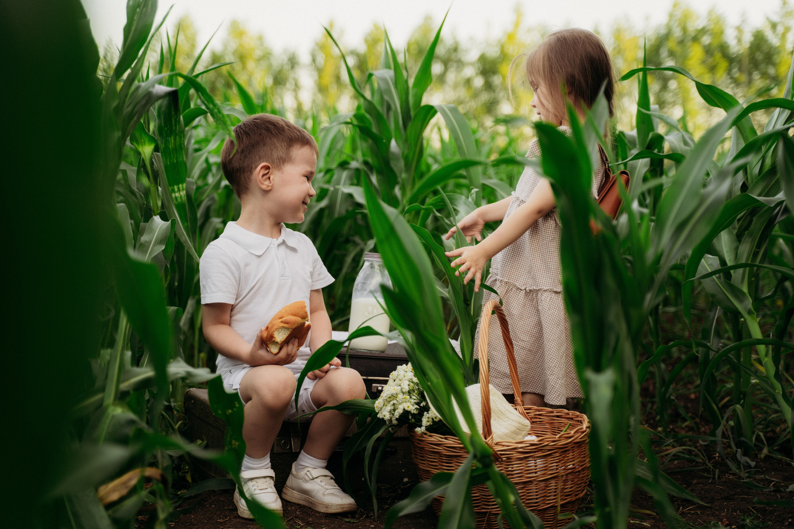 Фотосессия в Кукурузе
