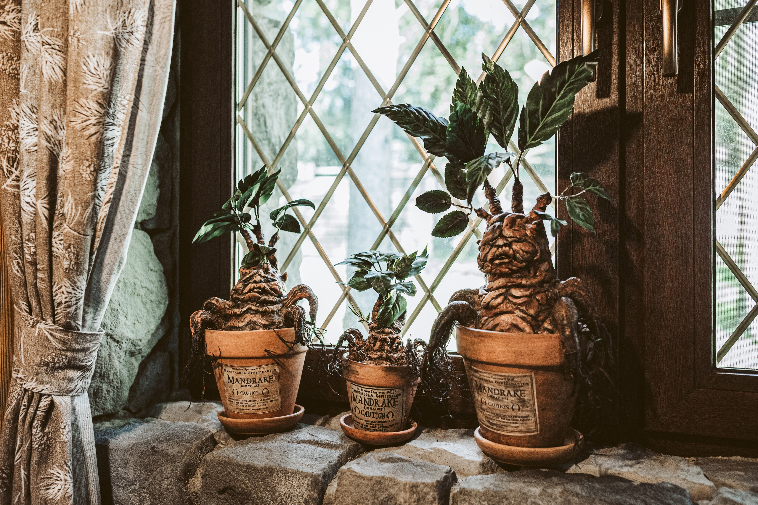 Хижина Хагрида. Свадебный фотограф Курзина Ольга | Москва