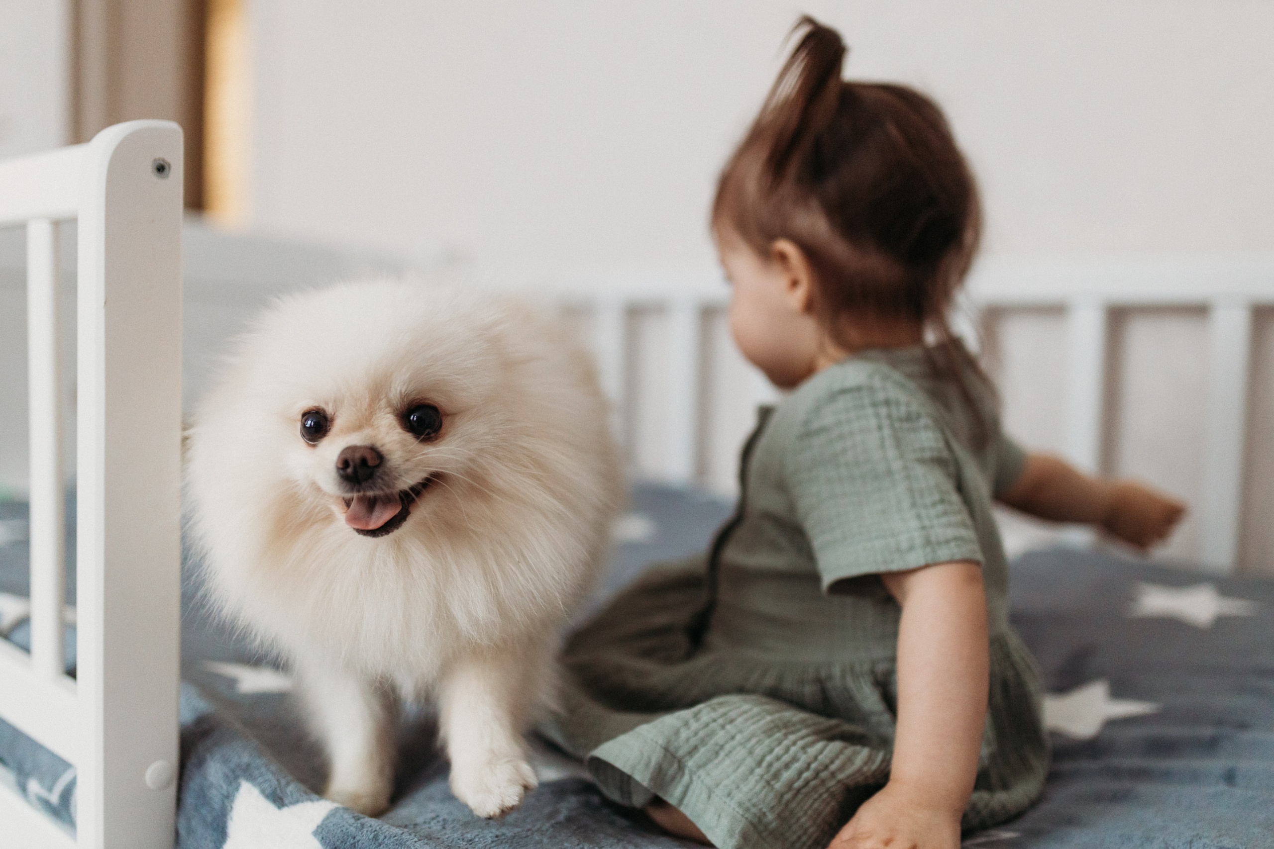 Домашняя фотосессия День Рождения Василисы. Фотограф Тверь. Свадебные, семейные, индивидуальные фотосессии