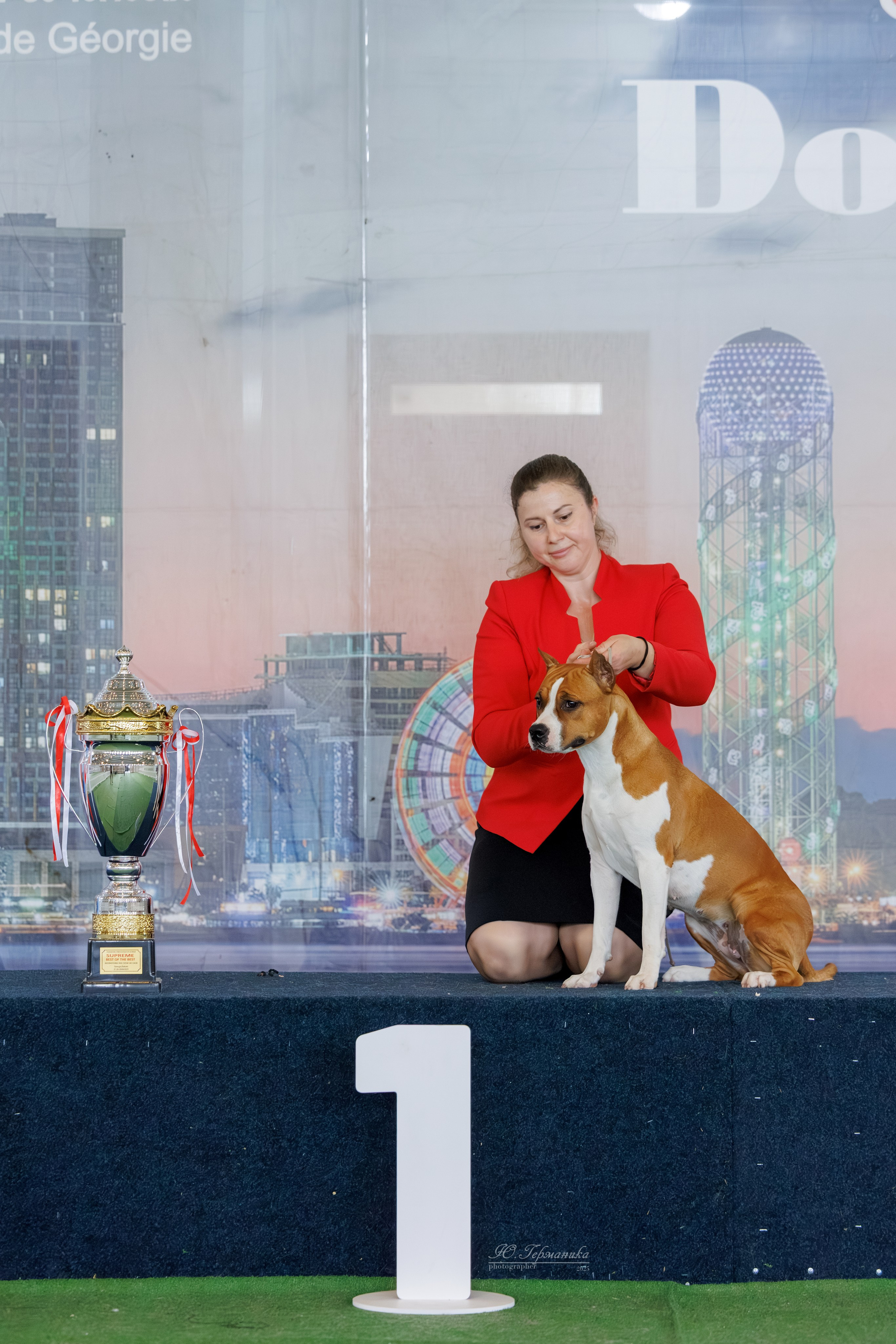 Батуми 3хCACIB 27-29.06.2025. Фотограф-анималист Юлия Германика