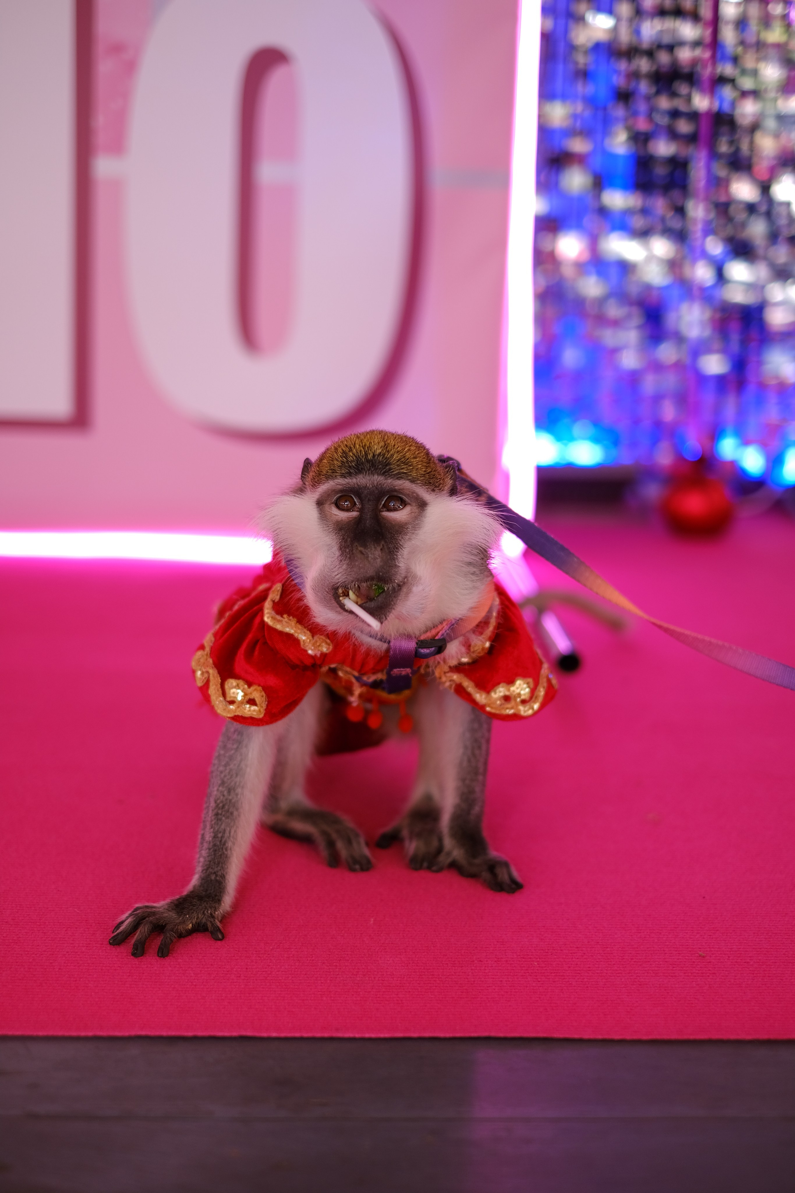 День рождения Анфисы. Семейный детский ньюборн фотограф в Москве Марта Петрова