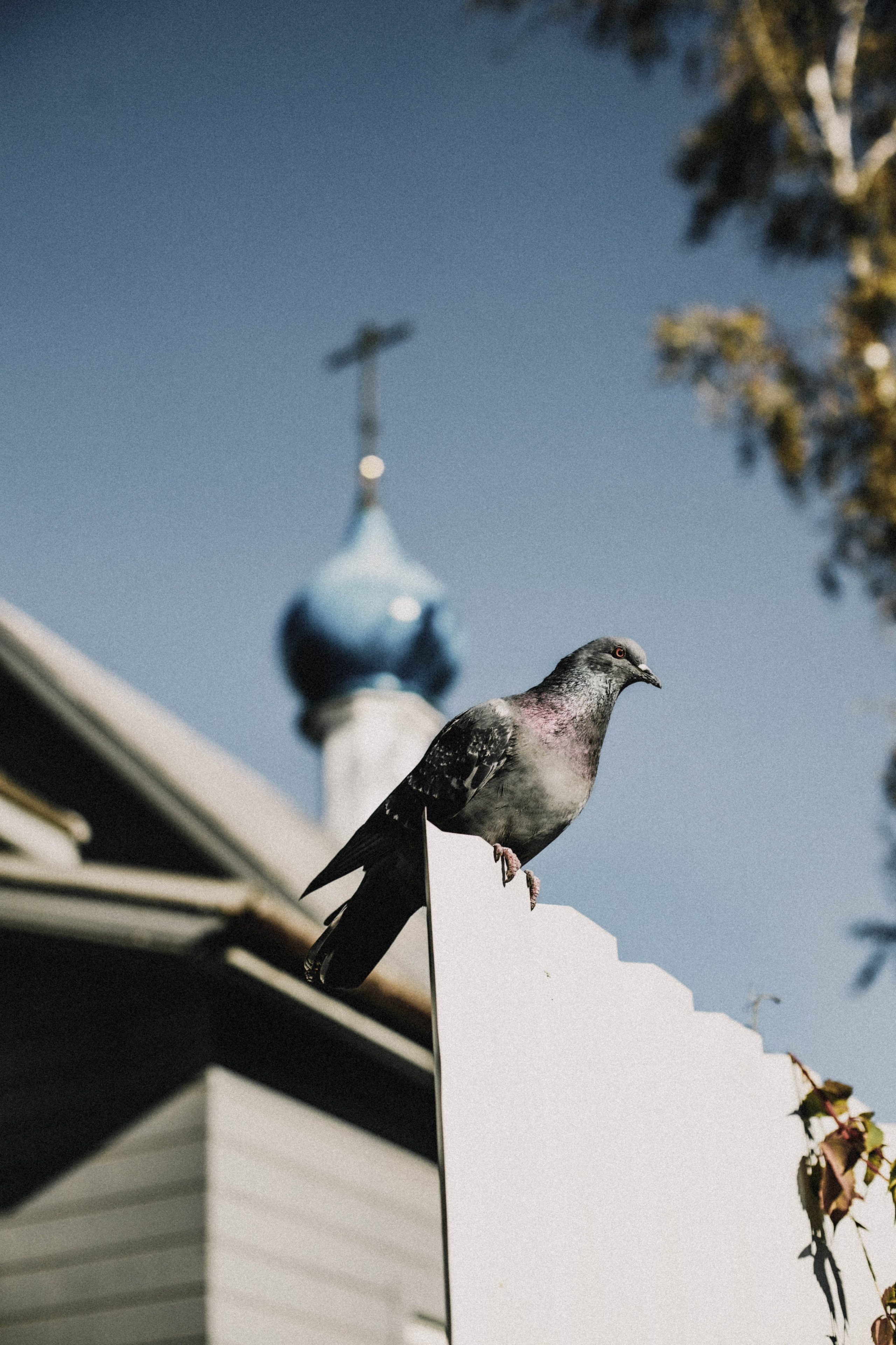 Арсений. Храм в честь Державной иконы Божией Матери. Фотограф в Нижнем Новгороде