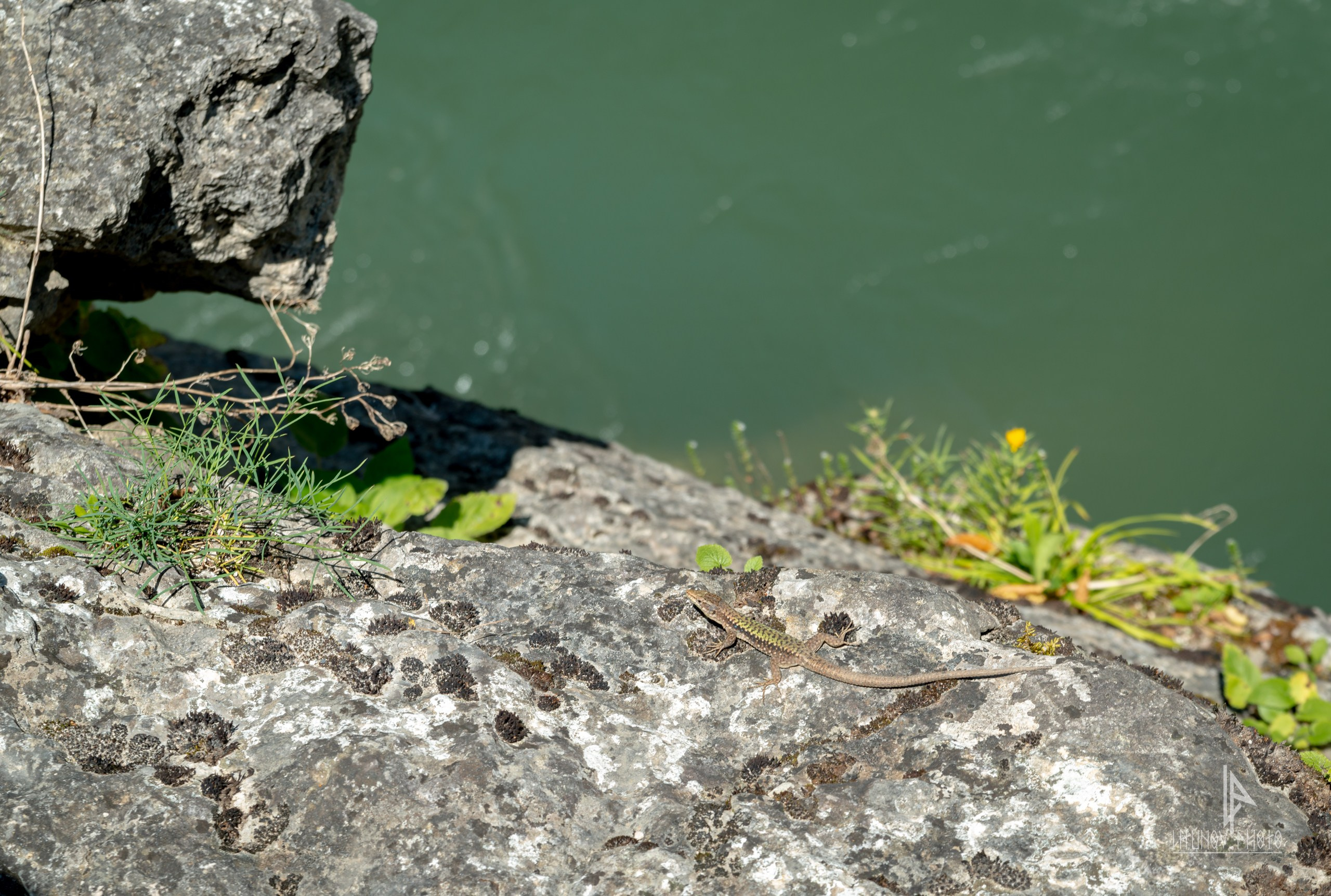 Адыгея. Спортивный и репортажный фотограф Дмитрий Литунов Москва