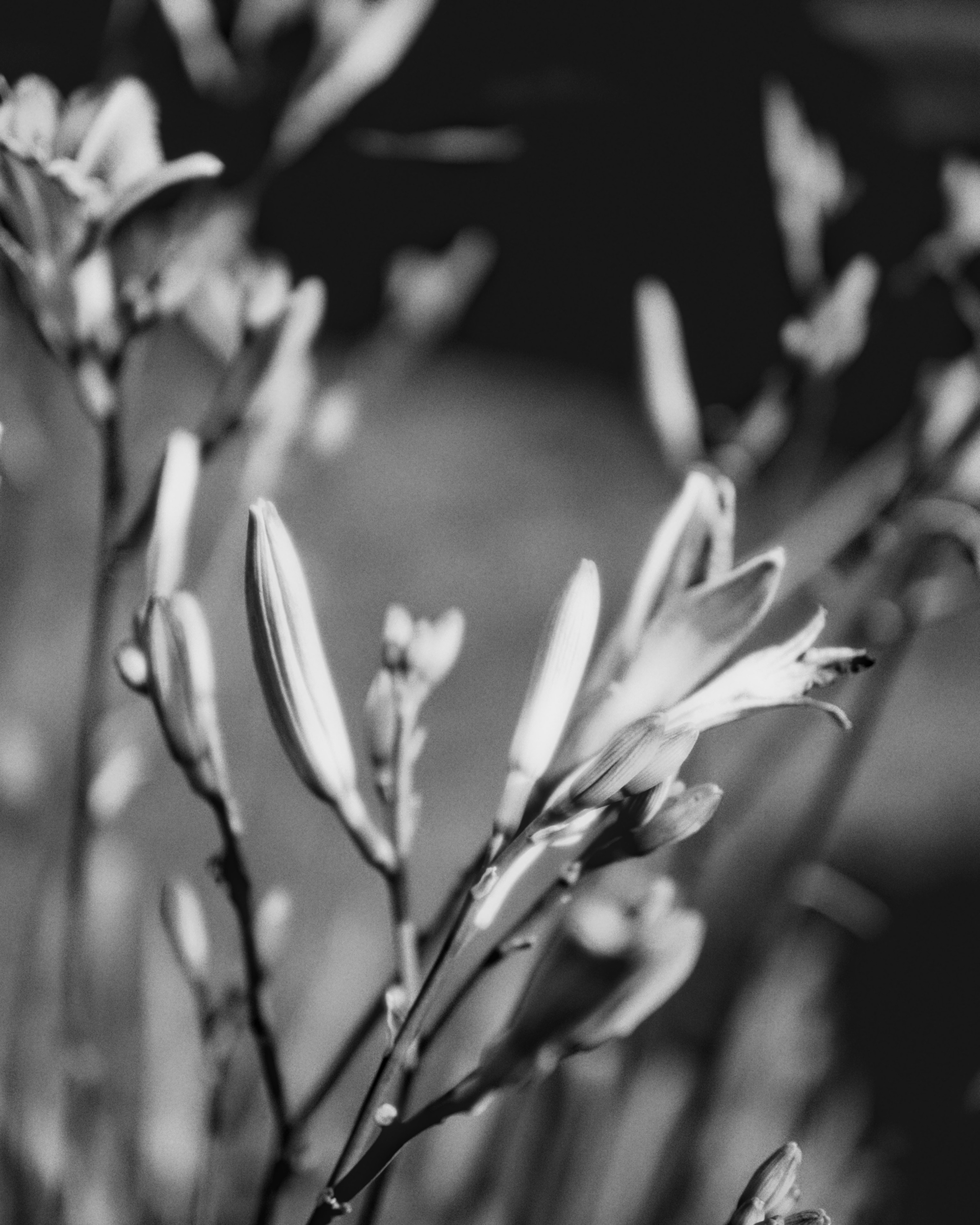 Портретная фотосессия в азиатском стиле