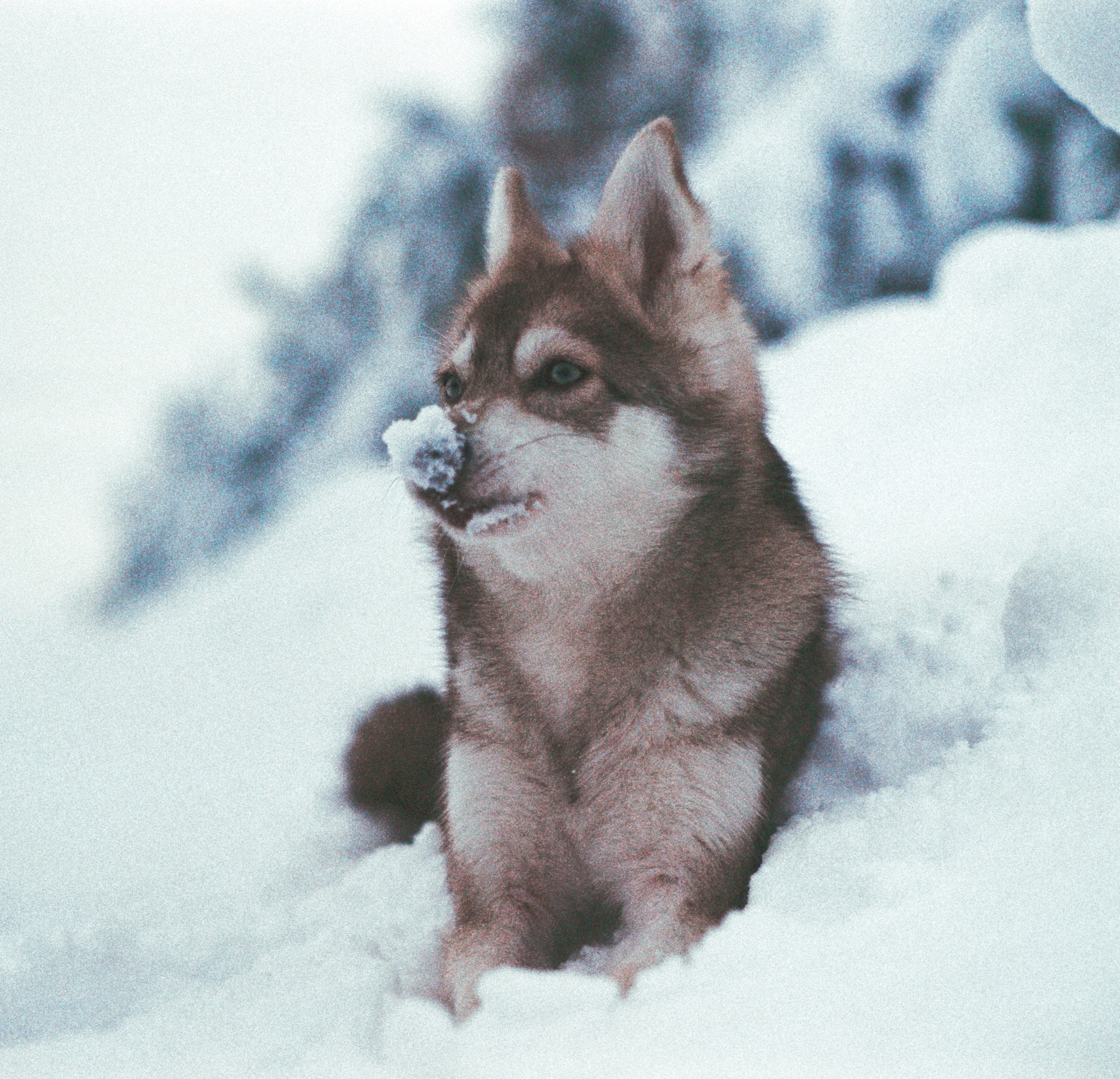 V2. Stylist and film photographer Anastasia Shlokova