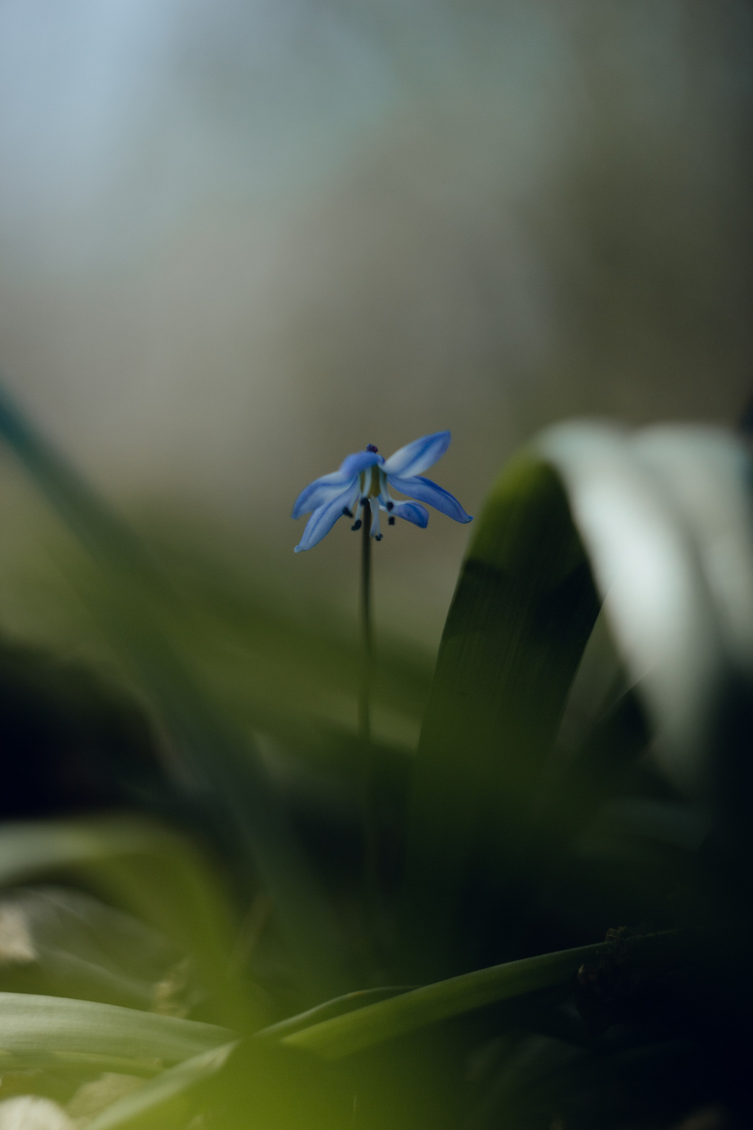 Helios. Photographer Mary Matveenko