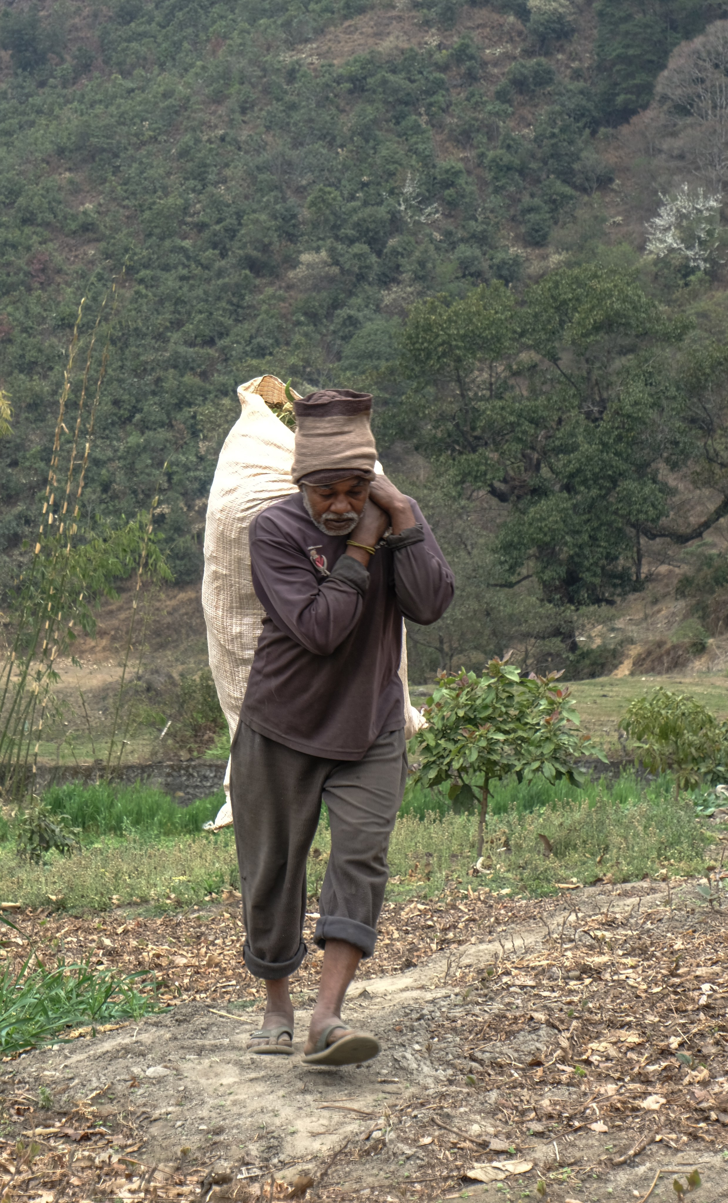 Индия 4-й день. Фотографии из путешествий