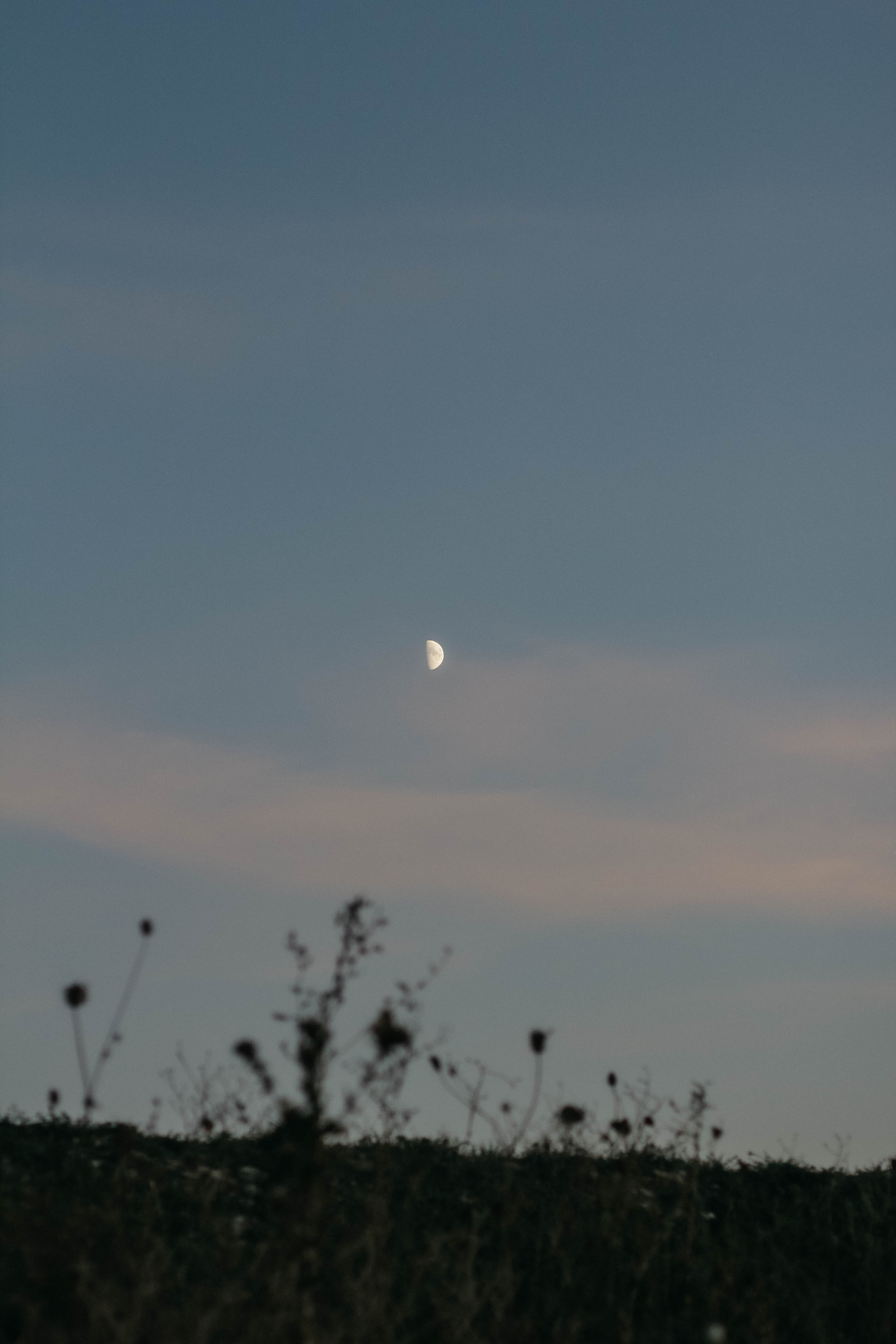 Рената, Алексей и Алиса. Семейный фотограф Анапа