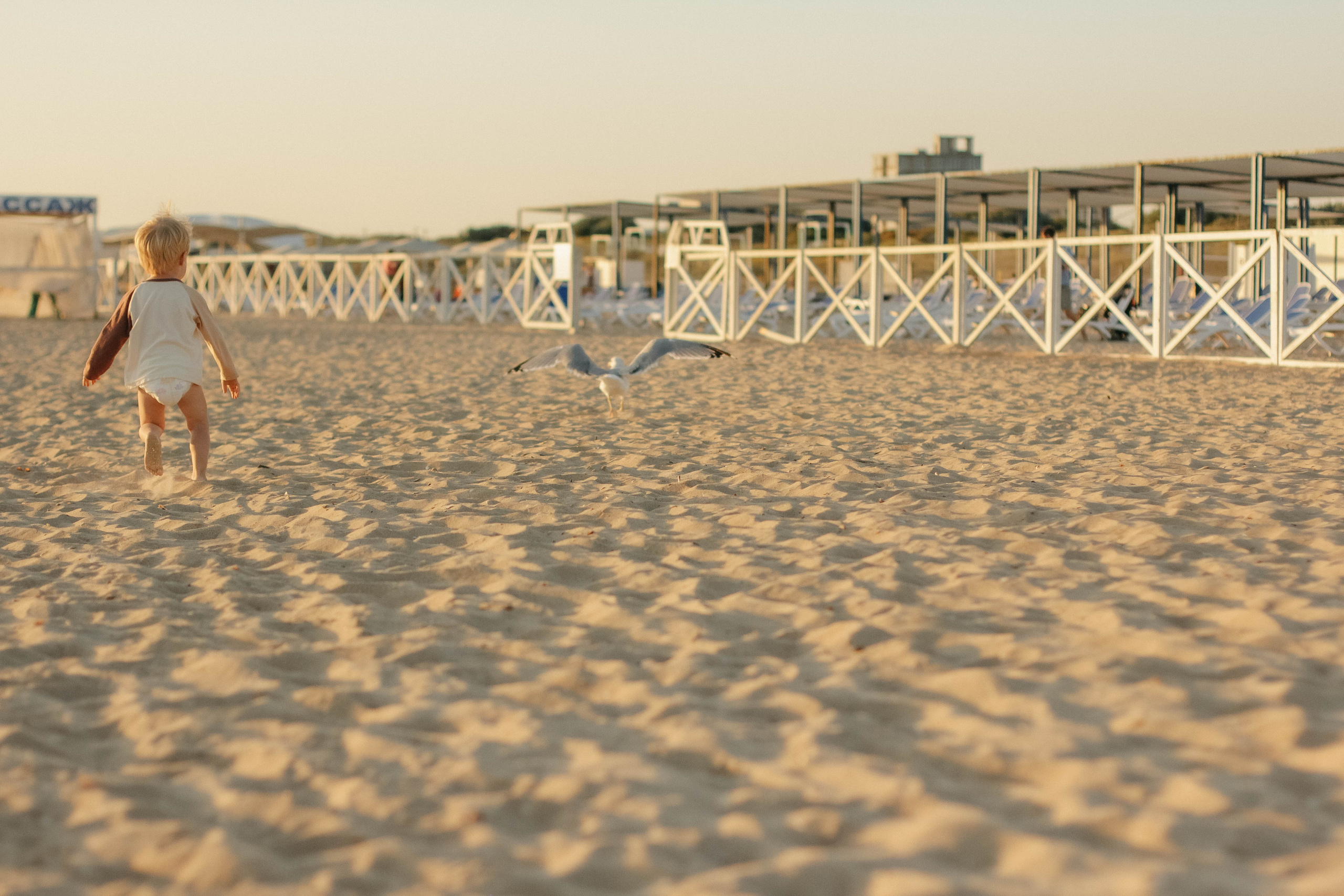 Алина, Дима и Рома. Семейный фотограф Анапа