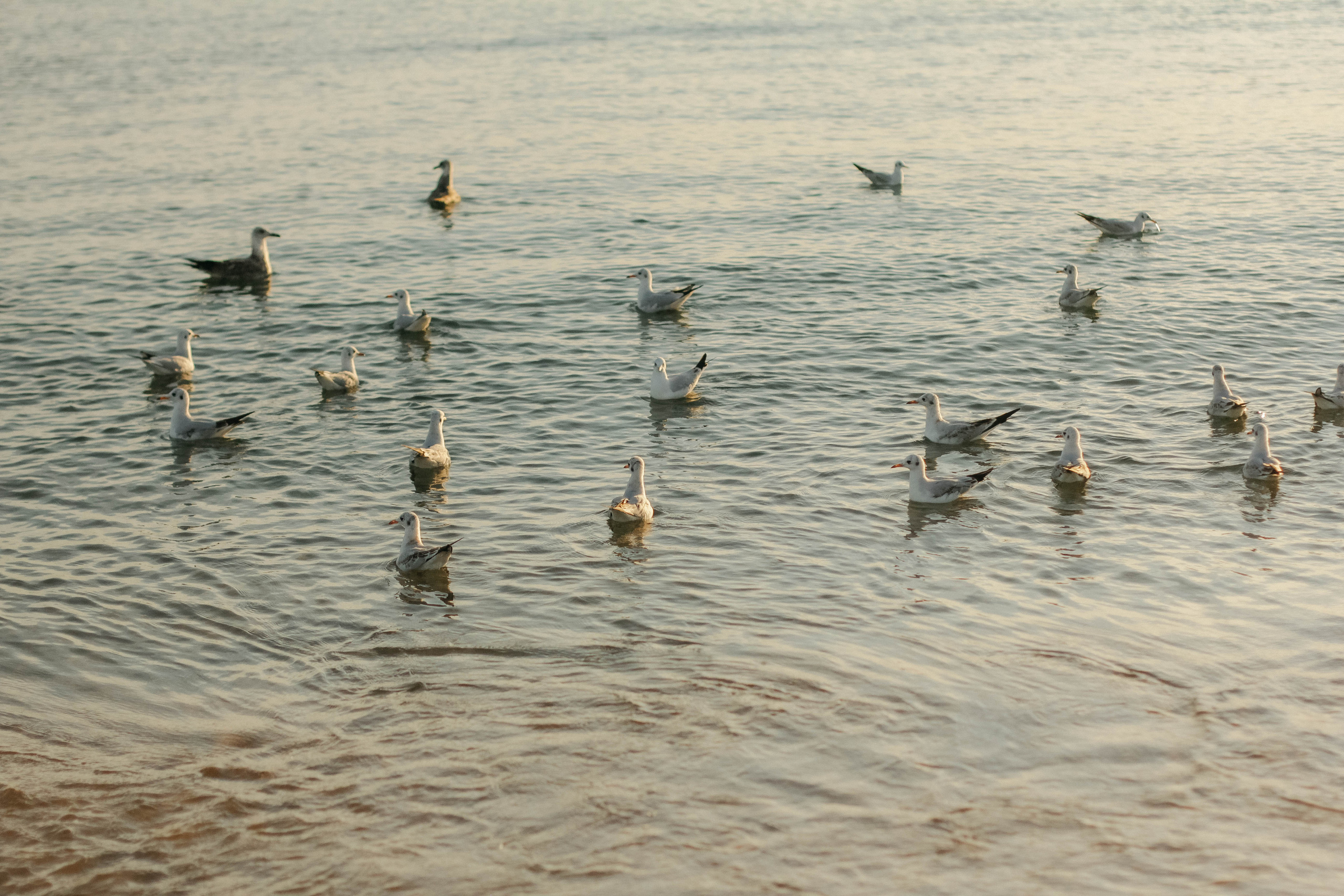 Настя, Вася и Саша. Семейный фотограф Анапа