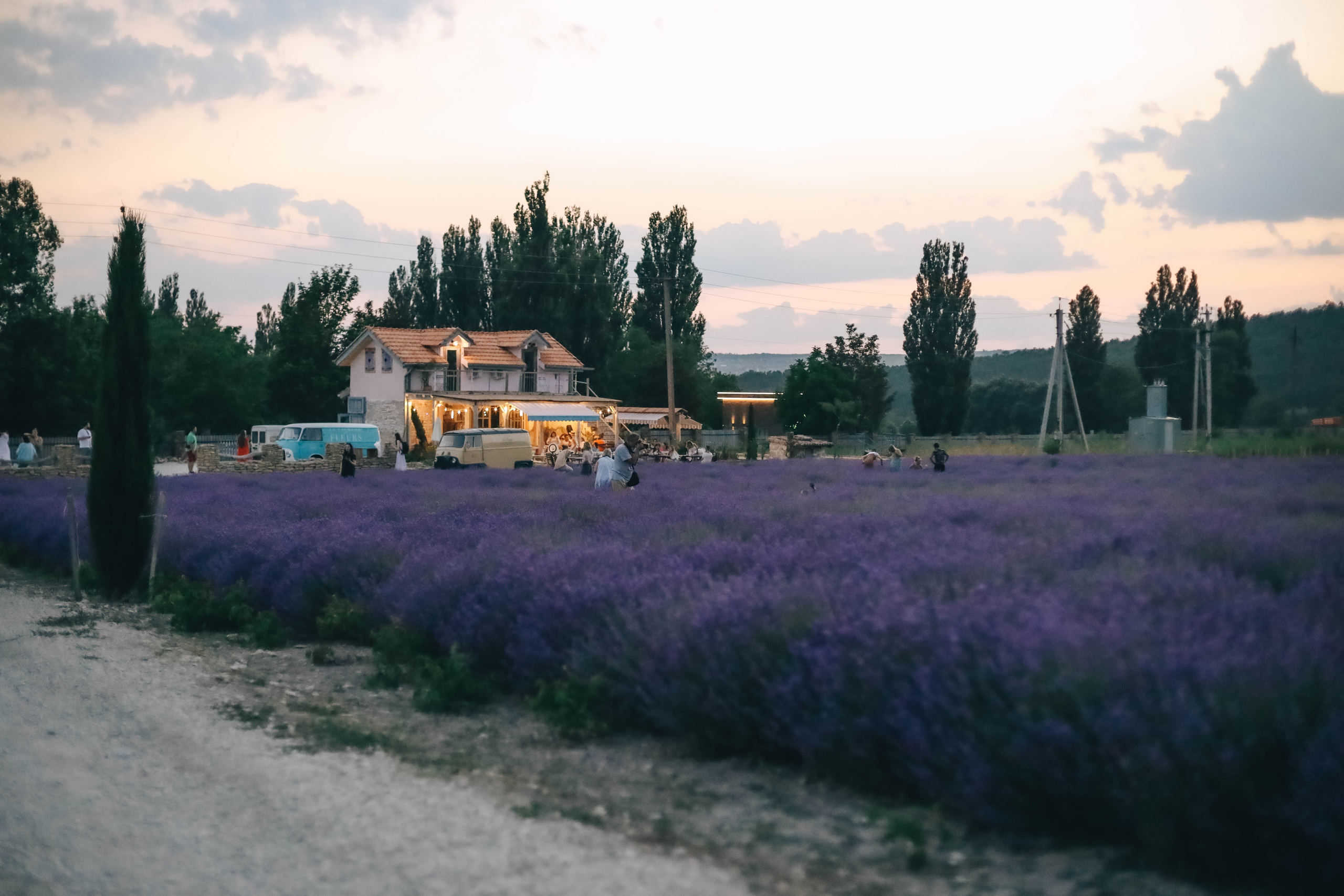 Юля и Слава в Мейзон. Семейный фотограф Анапа