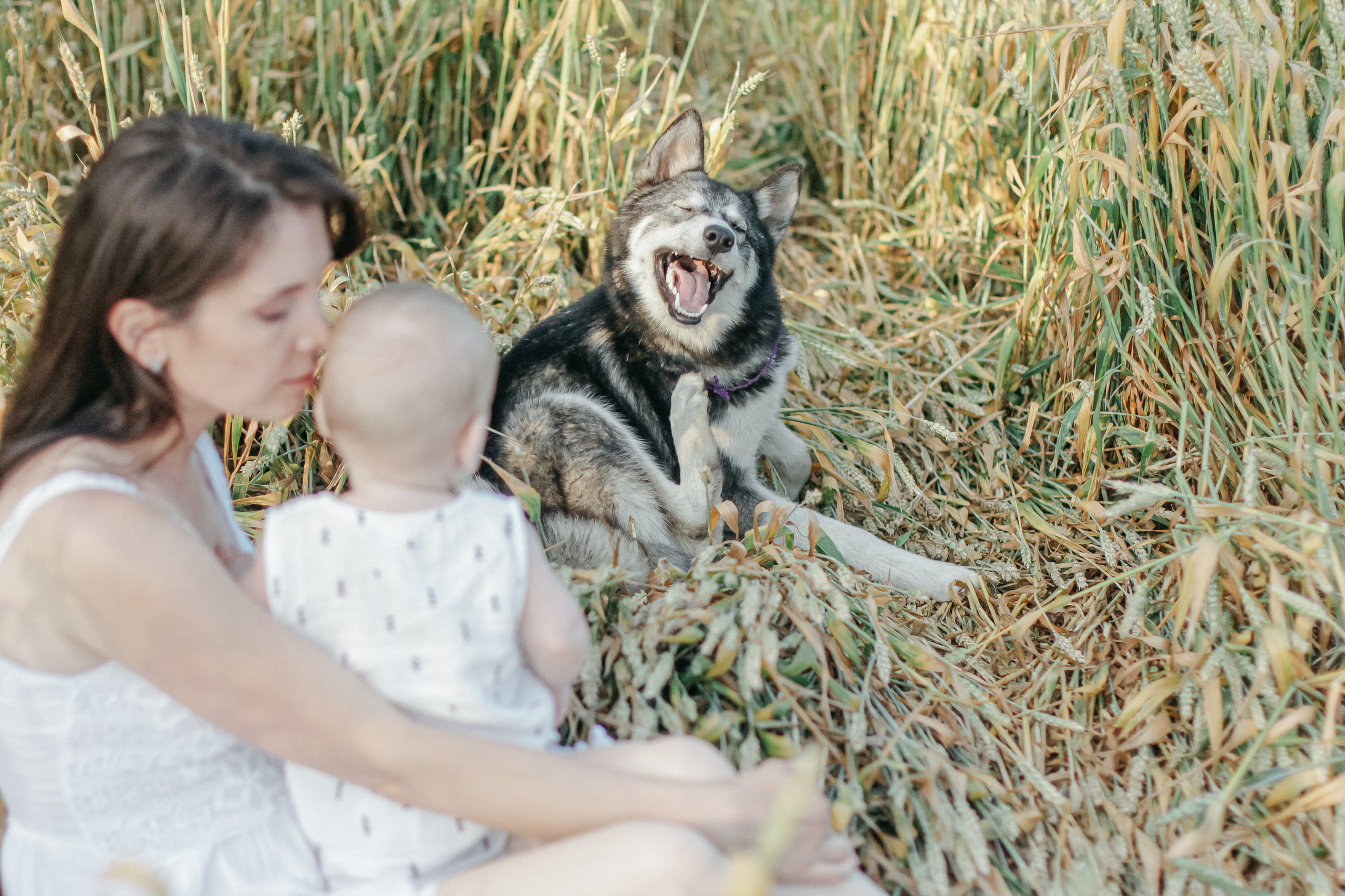 Анжелика и Дима. Семейный фотограф Анапа