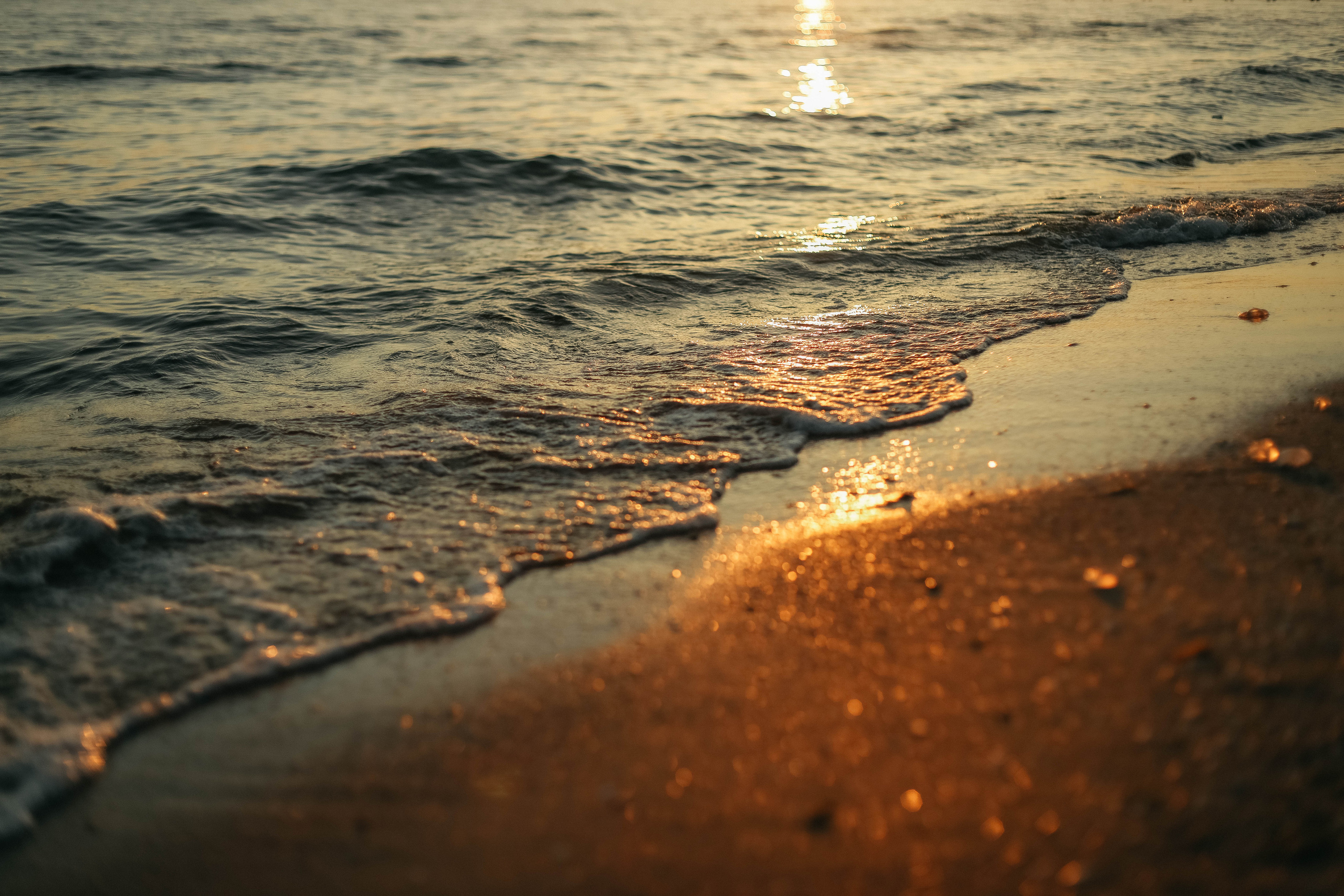 Надя, Паша и Маруся. Семейный фотограф Анапа