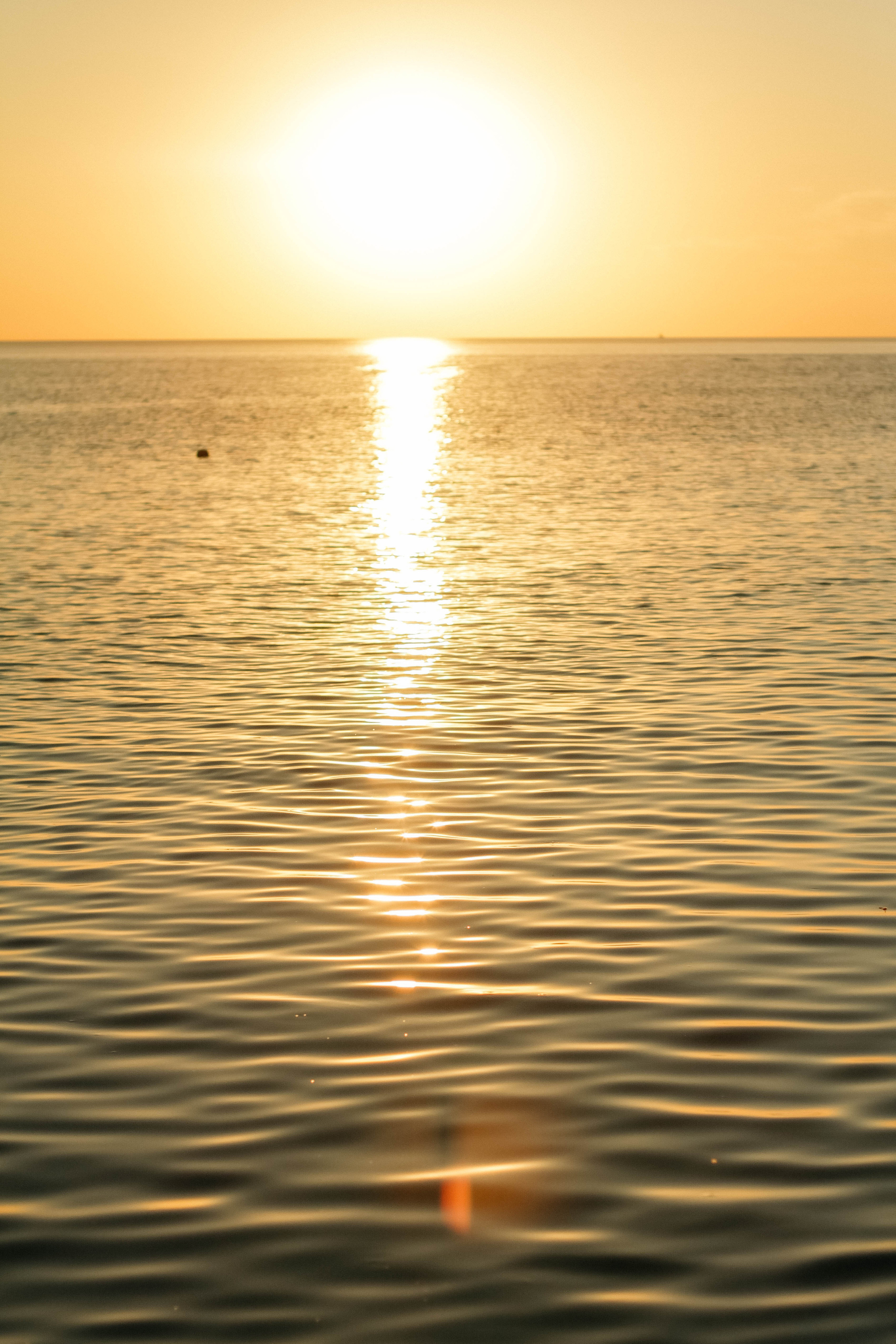 Ирина, Кирилл и Даня. Семейный фотограф Анапа