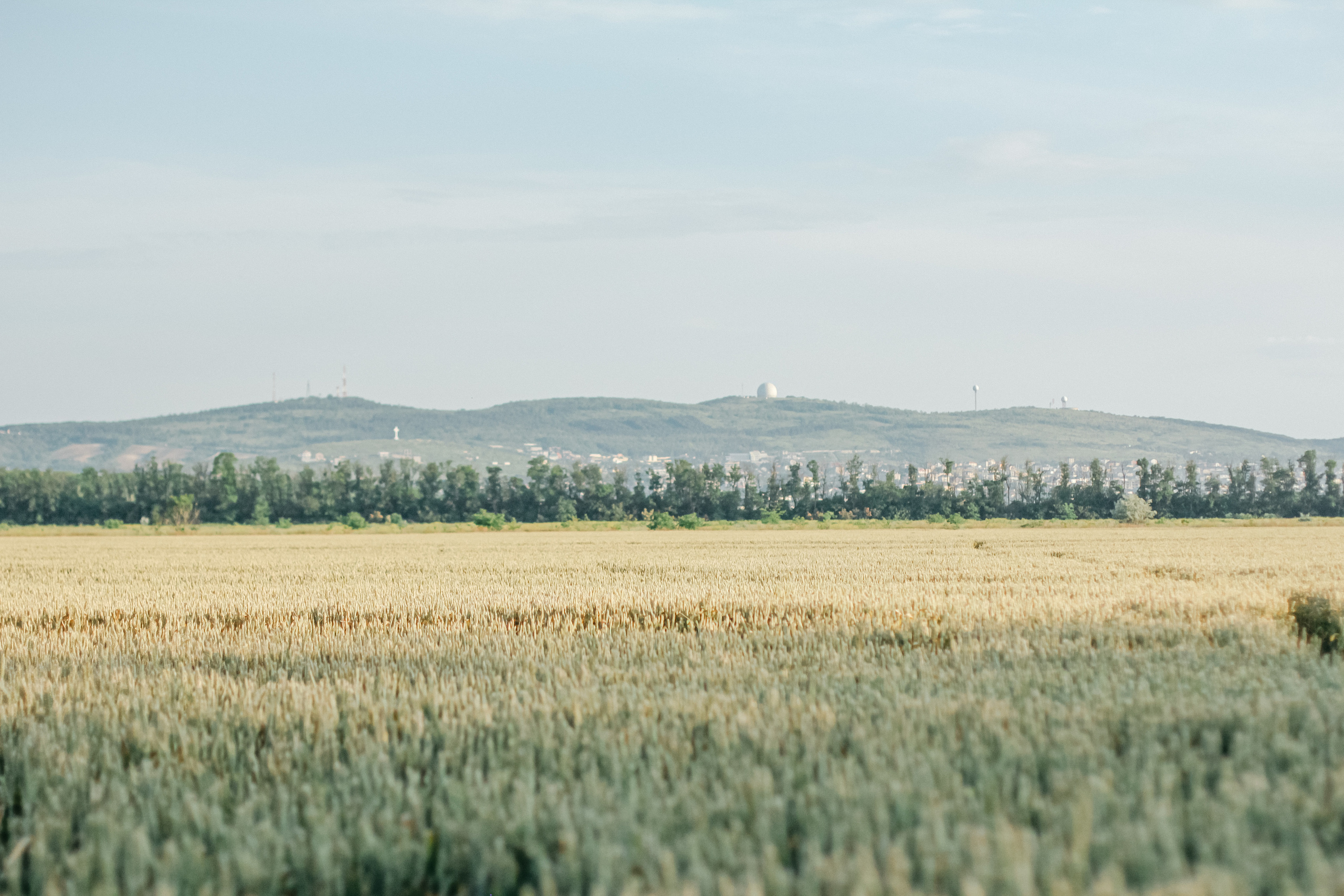 Анжелика и Дима. Семейный фотограф Анапа