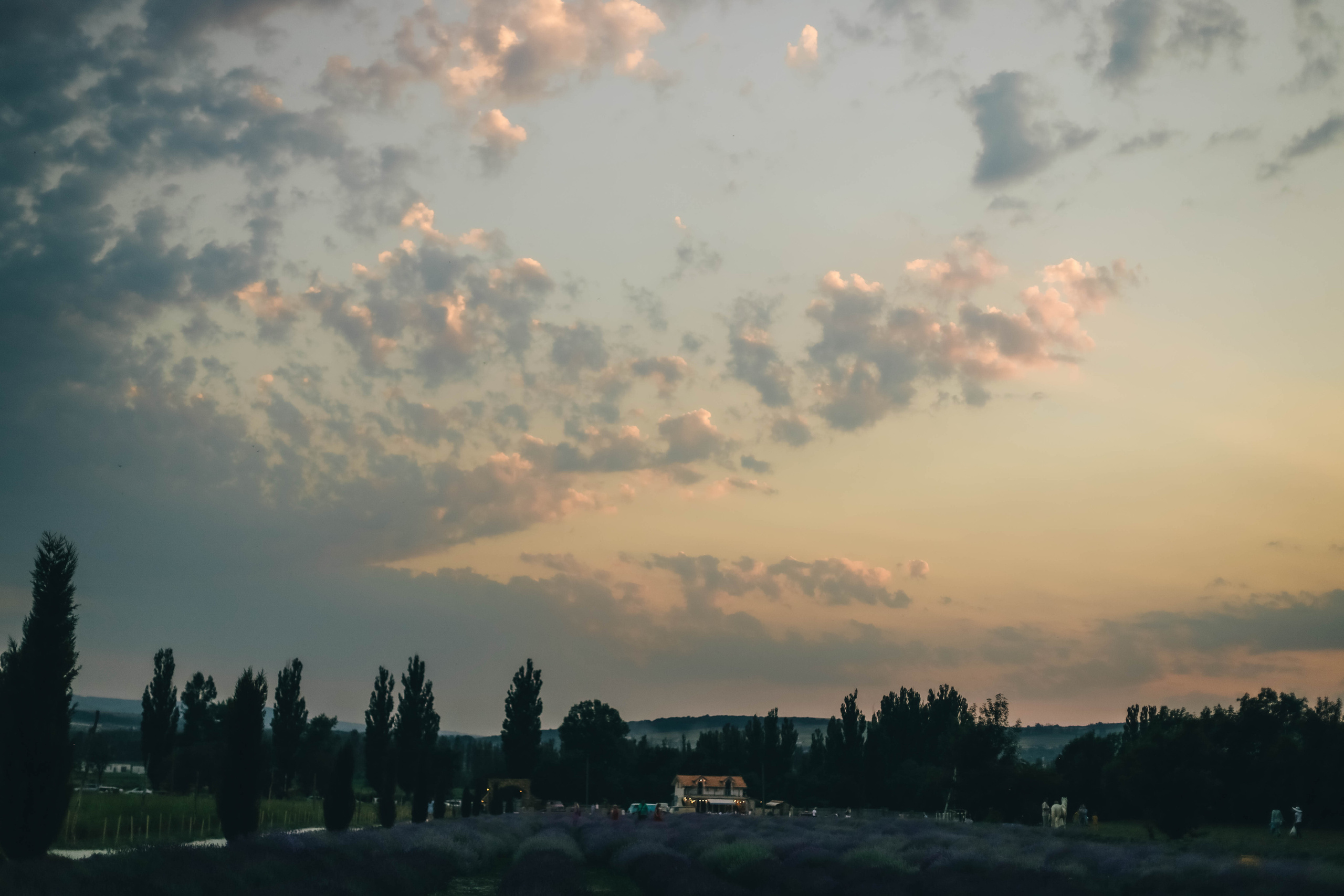Юля и Слава в Мейзон. Семейный фотограф Анапа