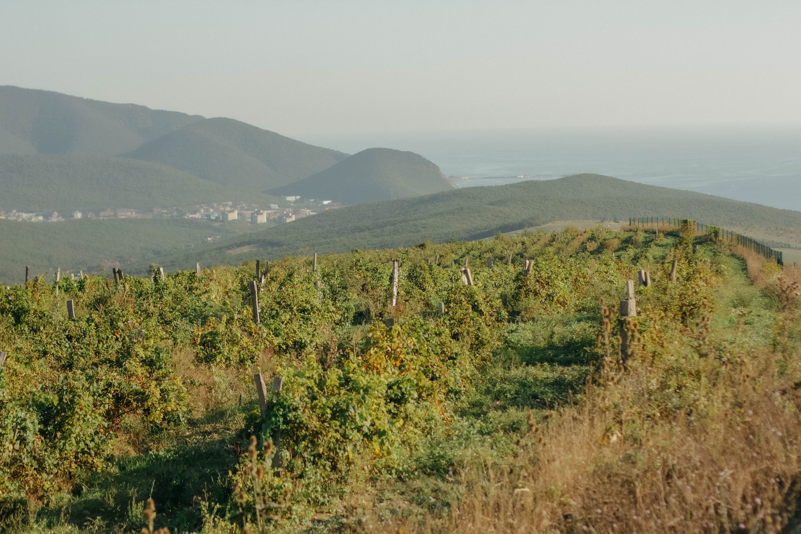 Рената, Алексей и Алиса. Семейный фотограф Анапа