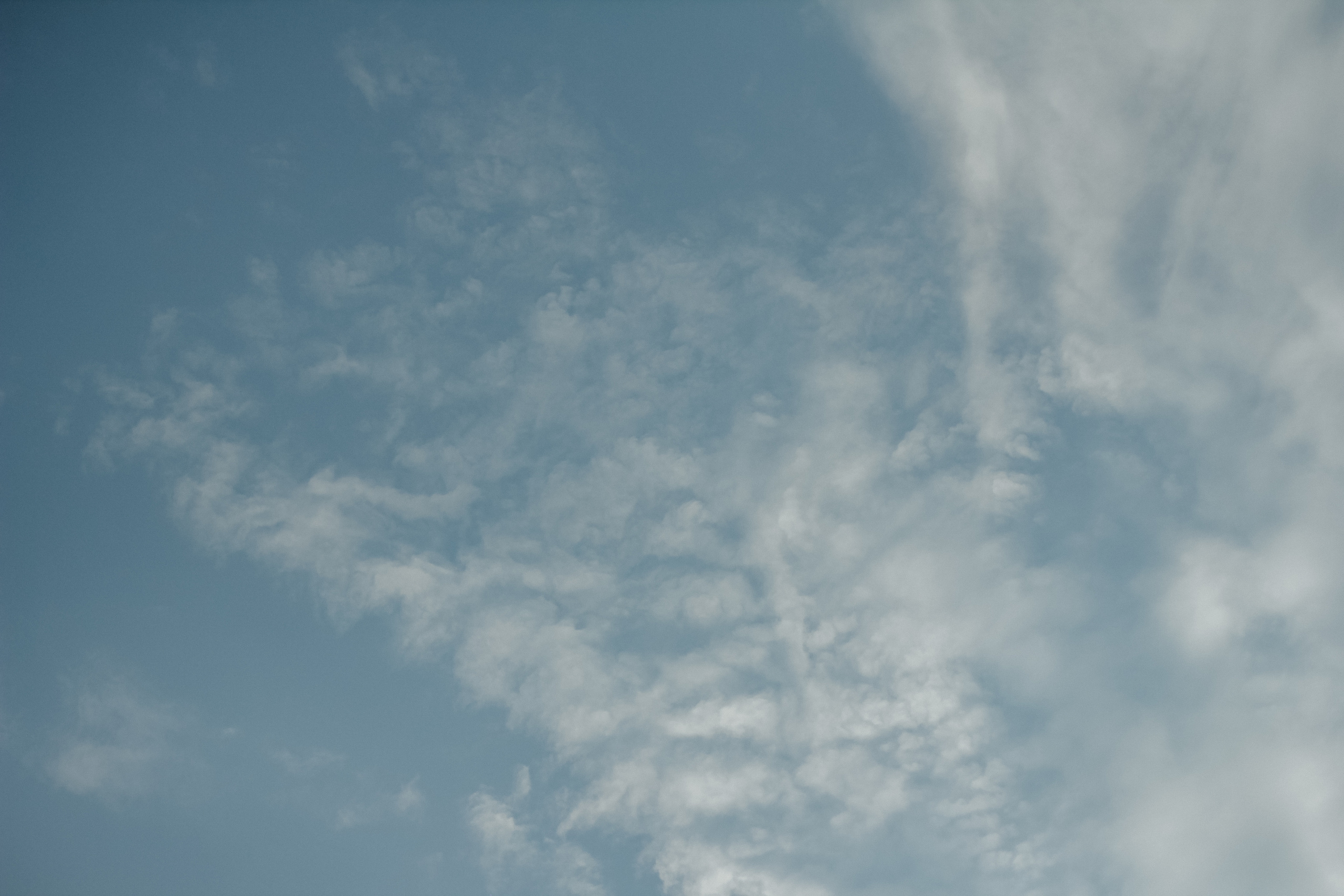 Анжелика и Дима. Семейный фотограф Анапа