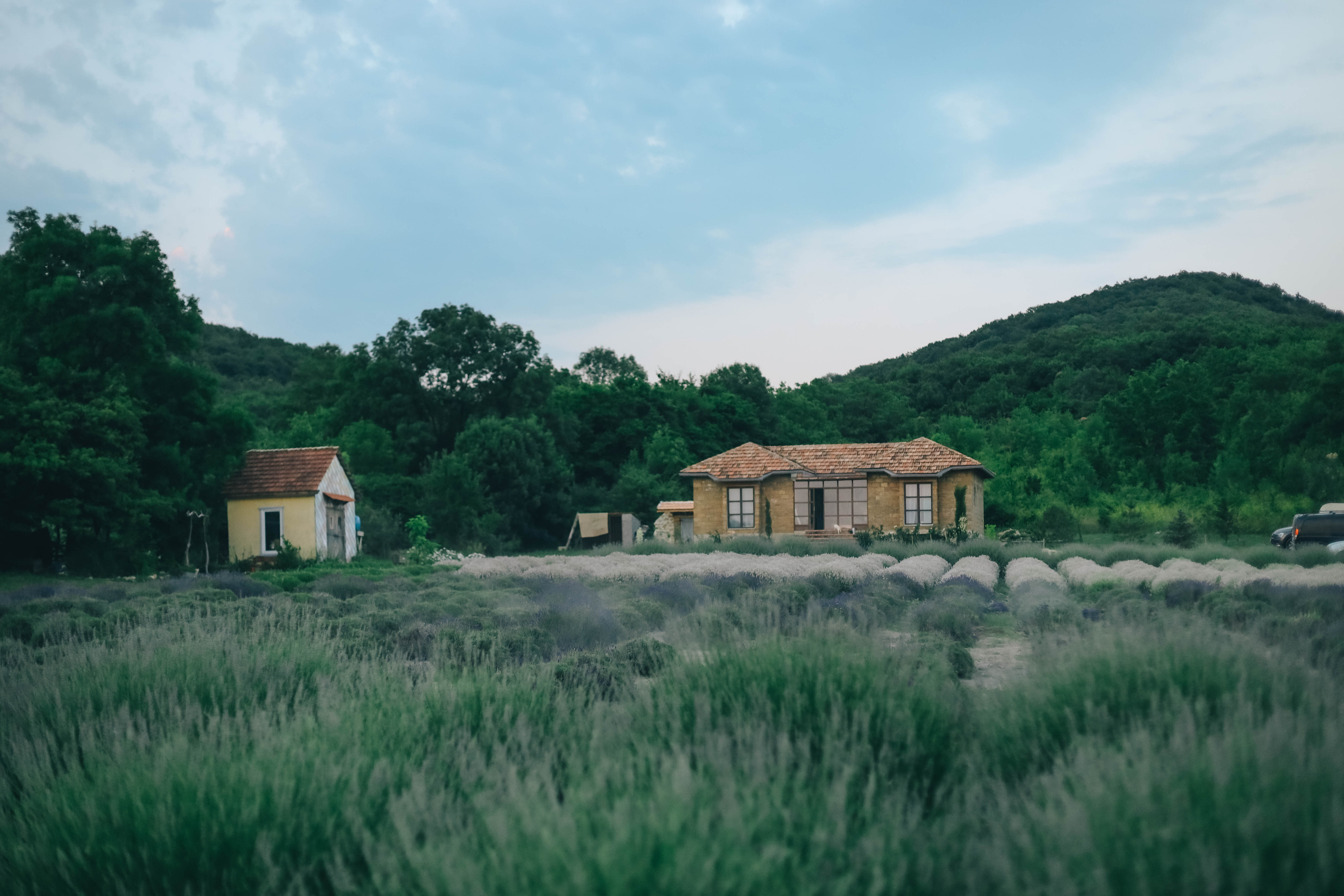 Юля и Слава в Мейзон. Семейный фотограф Анапа