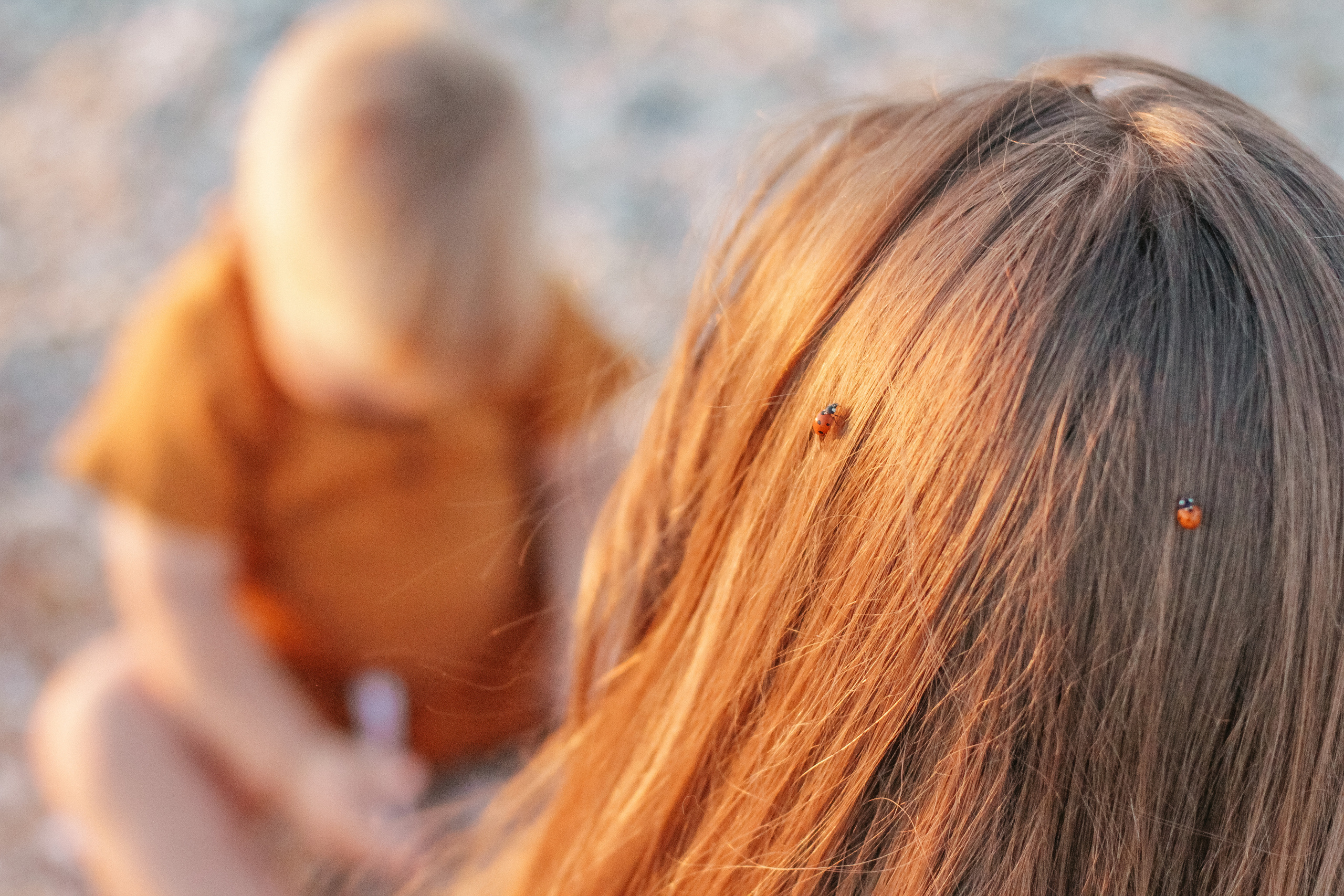 Полина и Тема. Семейный фотограф Анапа