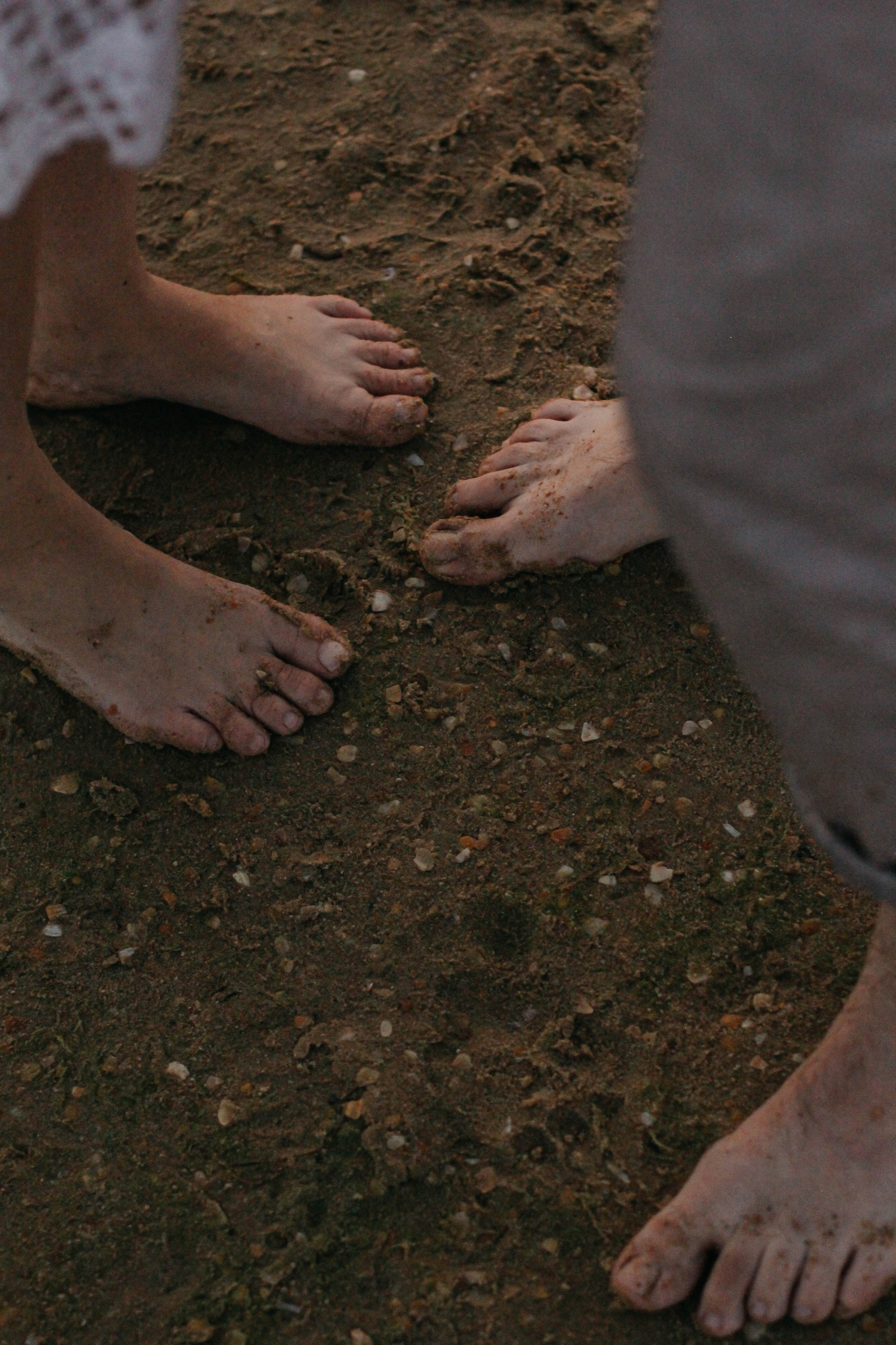 Марина, Максим, Матвей и Мирон. Семейный фотограф Анапа