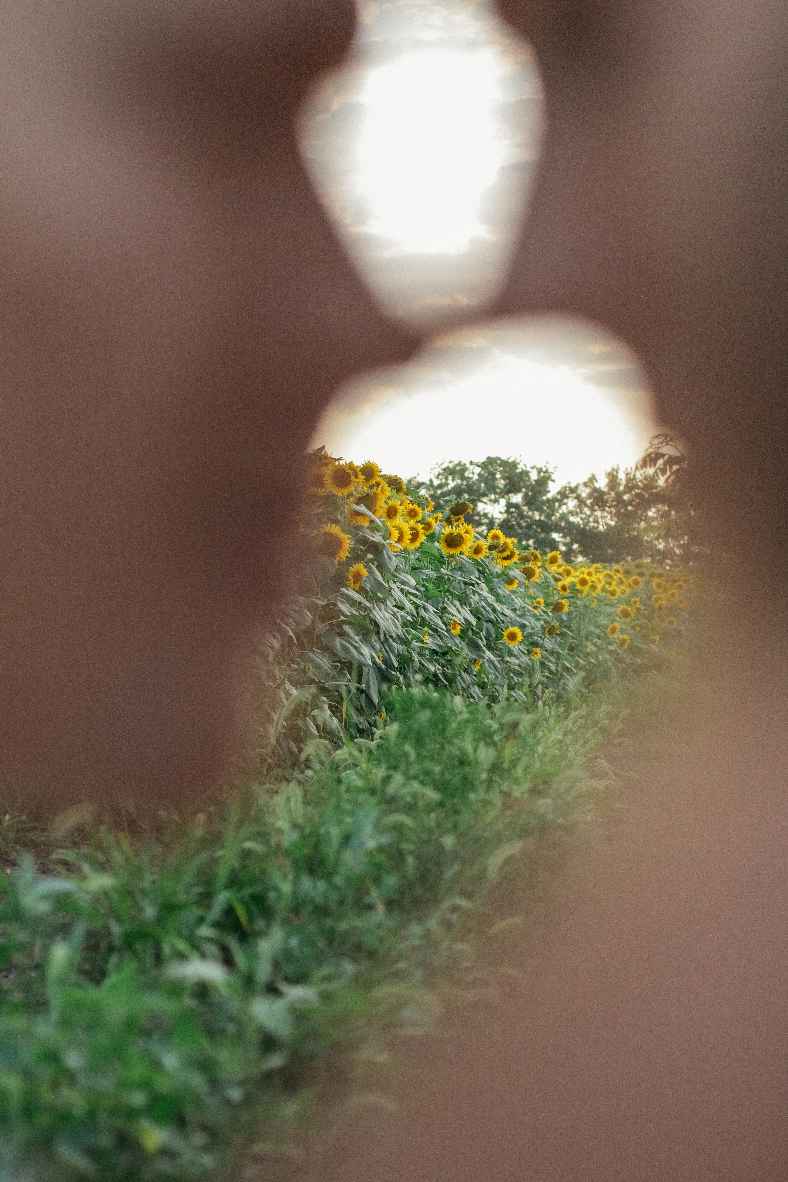 Яна, Артем и Тимоша. Семейный фотограф Анапа