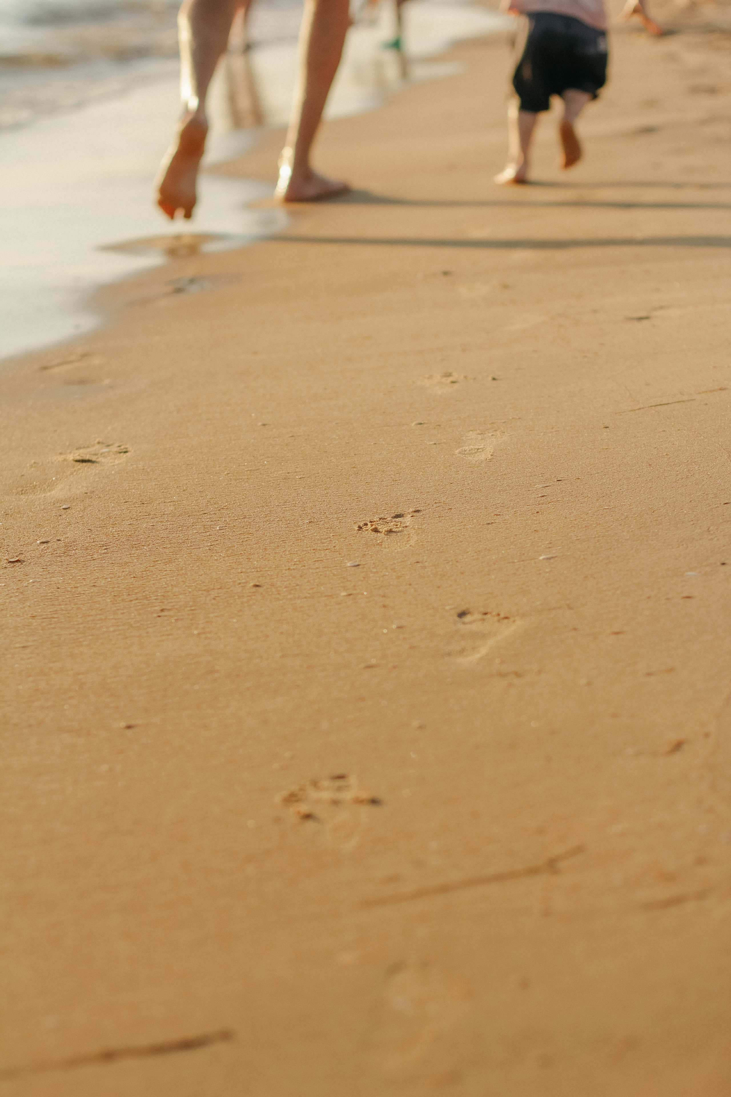 Алина, Дима и Рома. Семейный фотограф Анапа