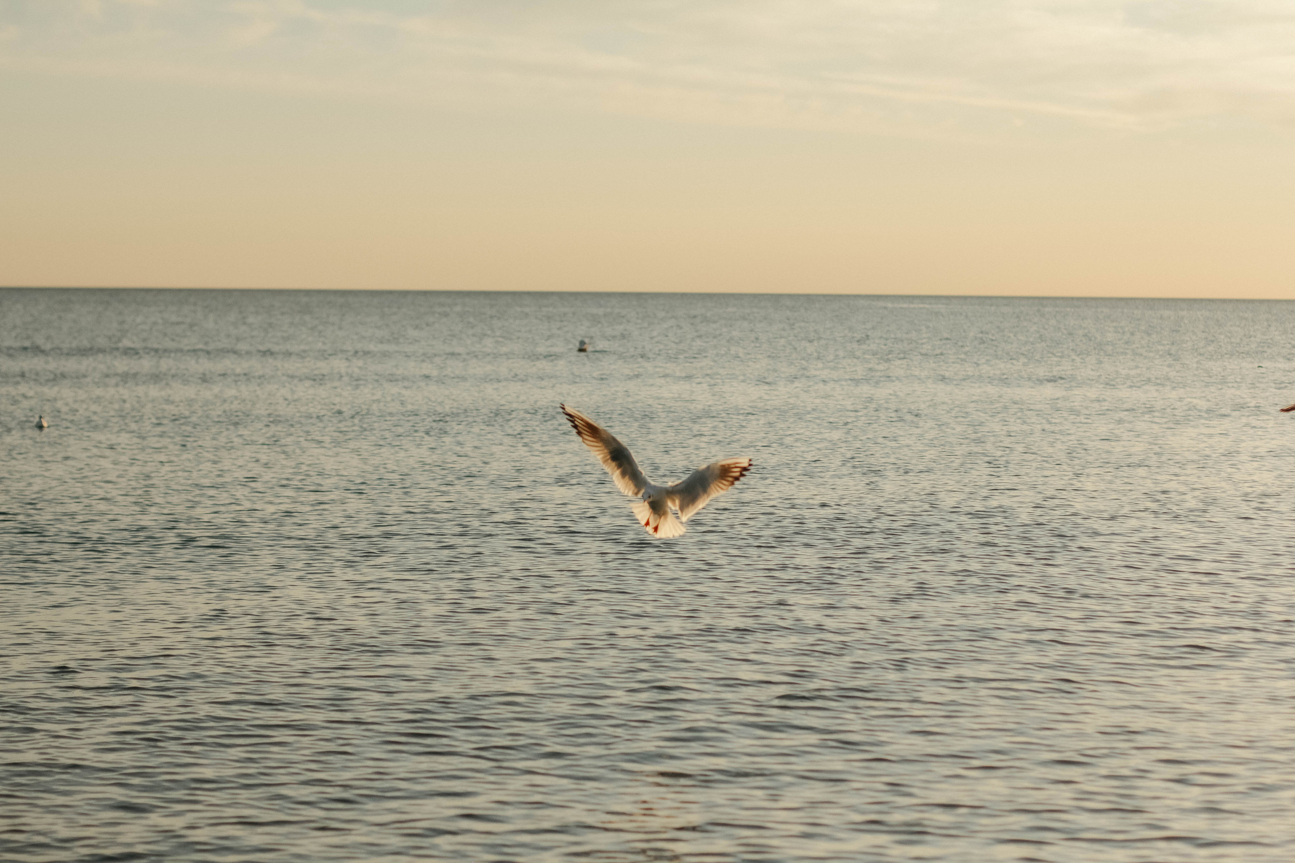 Настя, Вася и Саша. Семейный фотограф Анапа